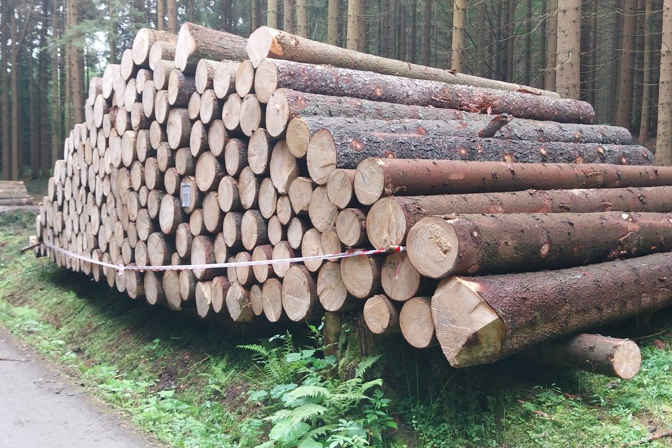 Palivové dřevo Nymburk