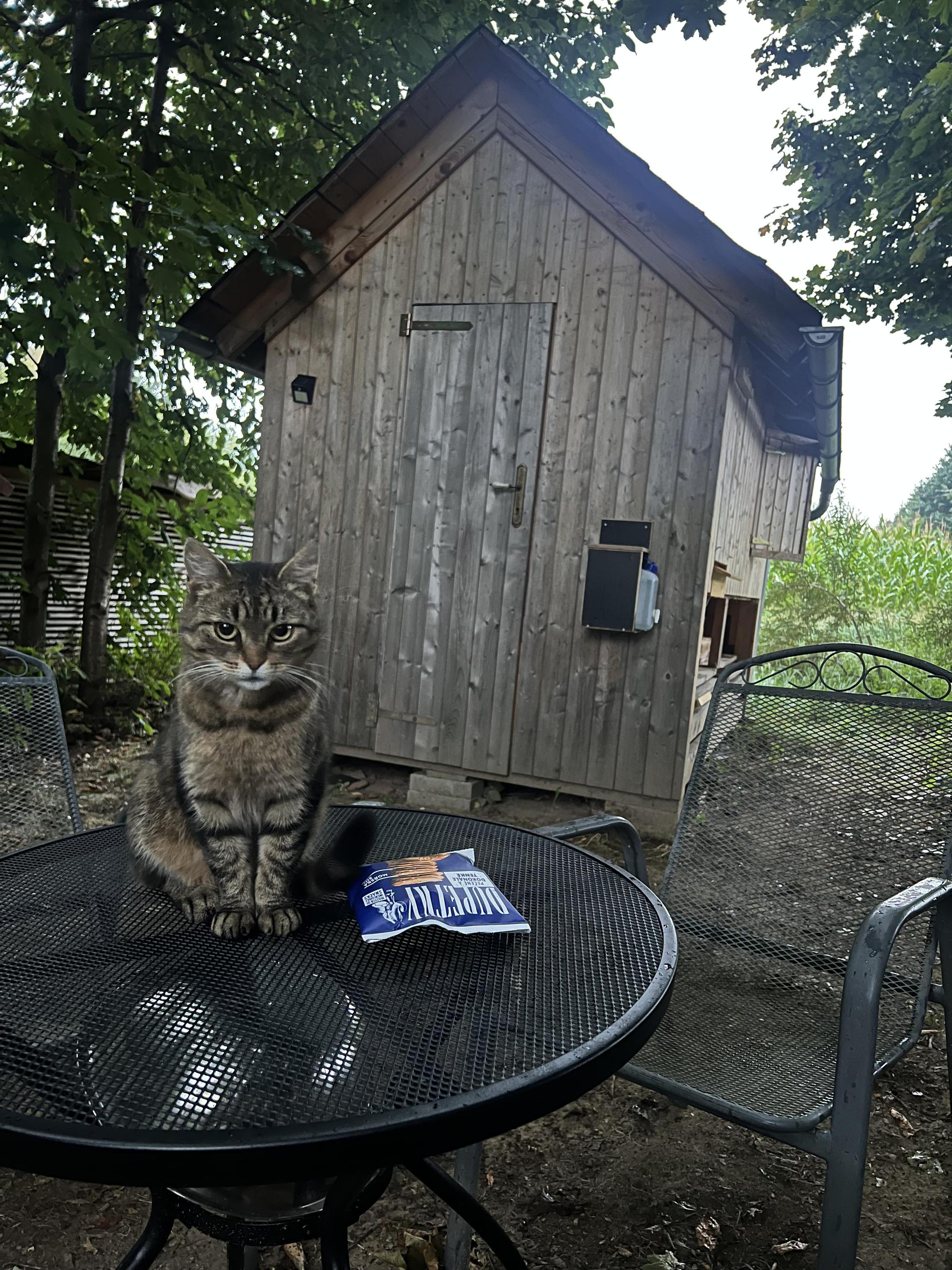 Včelí farma Nosek foto 2