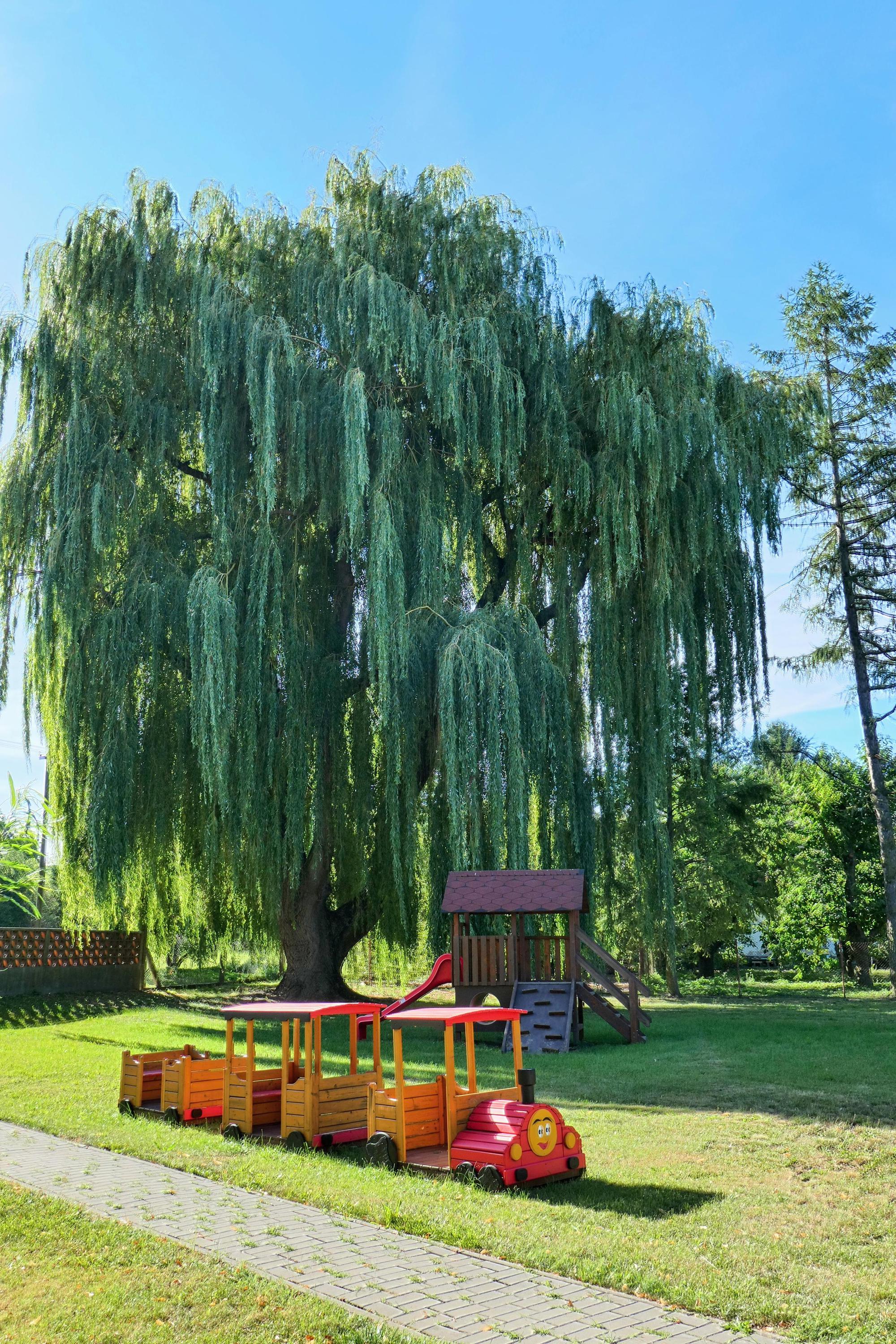 Mateřská škola Kočička Kočí, okres Chrudim foto 6