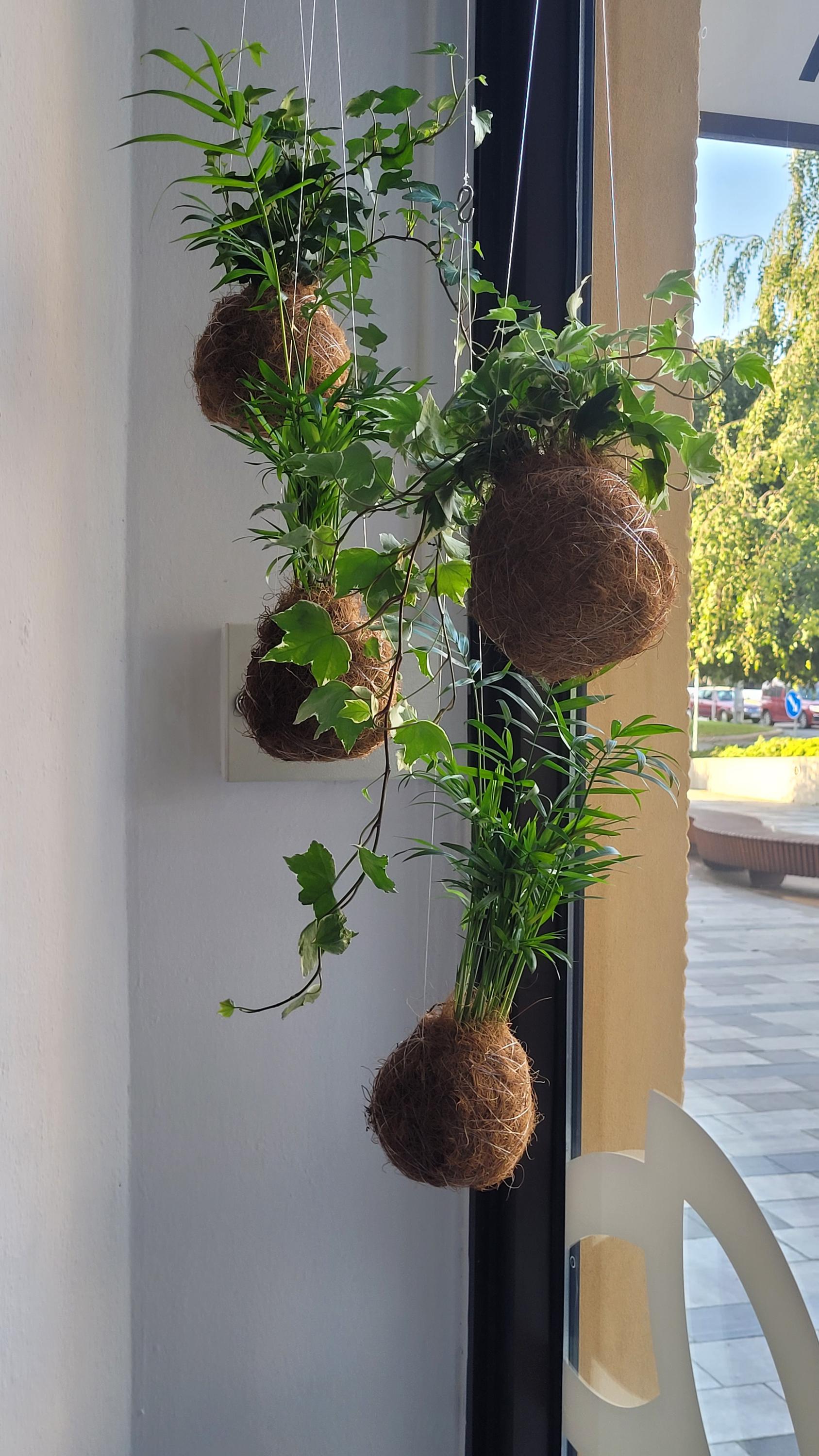 KVITKA Ostrava foto 6