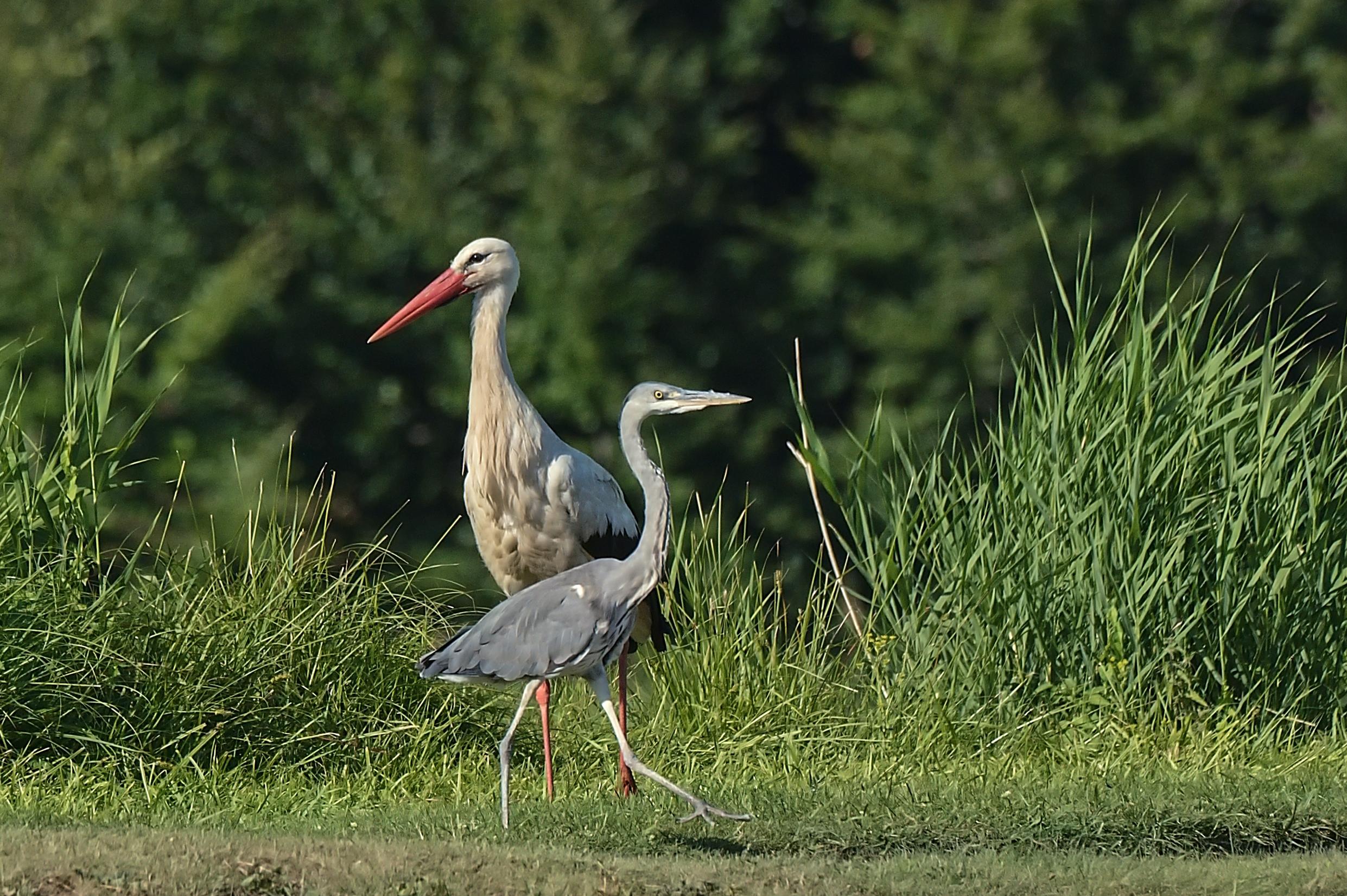 Jezero Lenešice foto 6