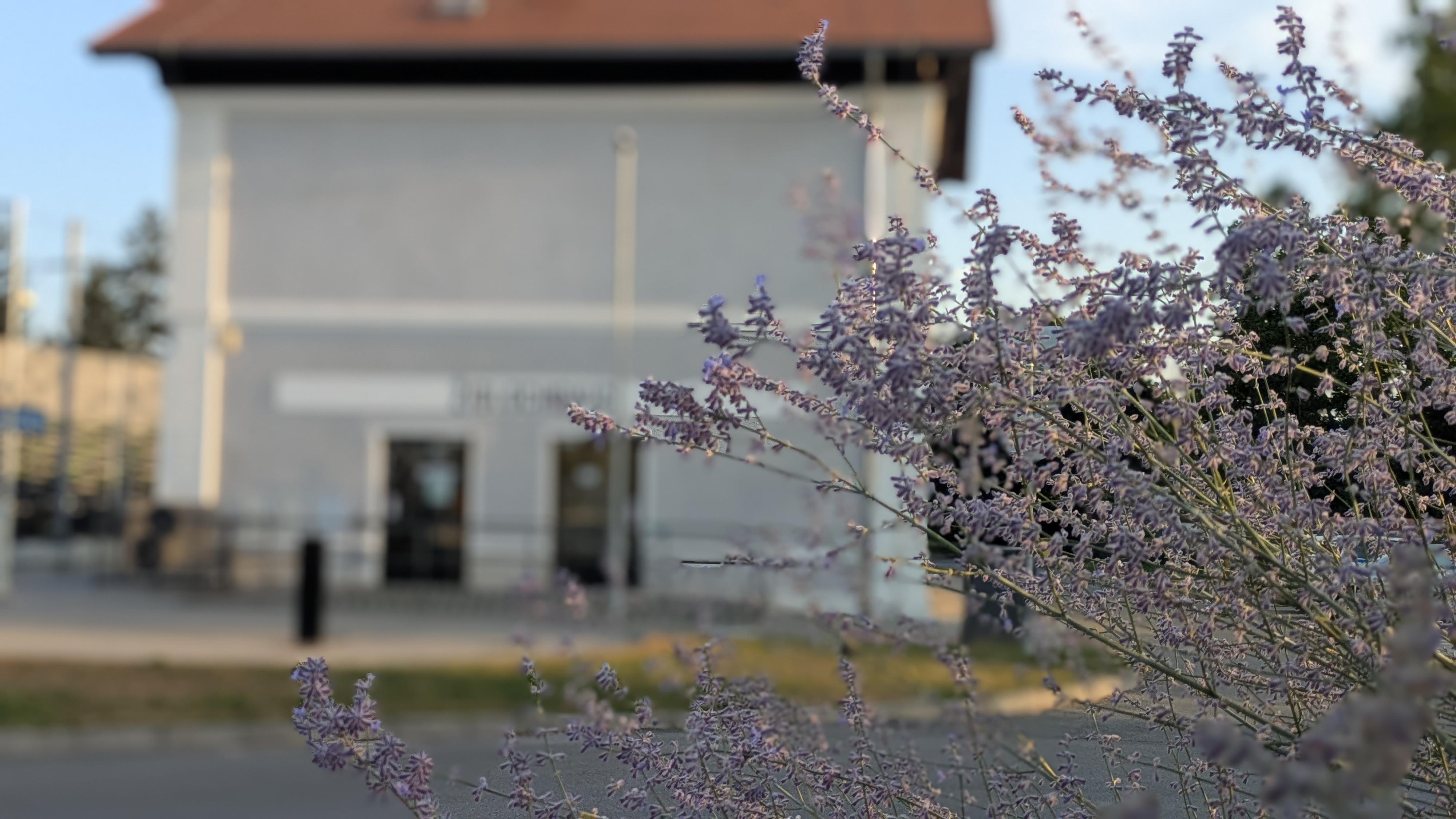 Městská policie Židlochovice foto 6