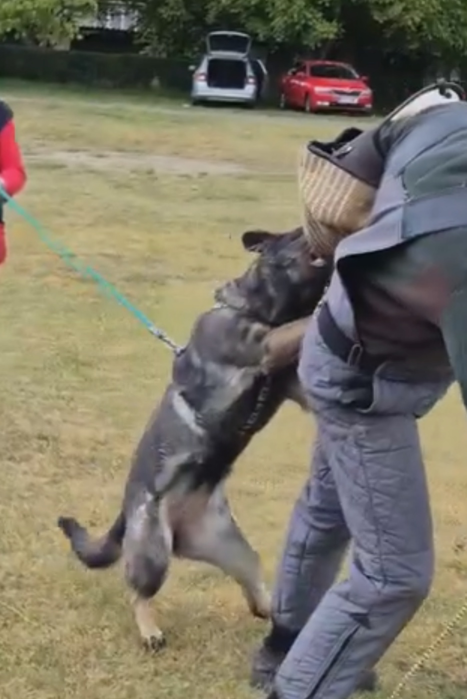 Český kynologický svaz ZKO Rousovice - 325 foto 4