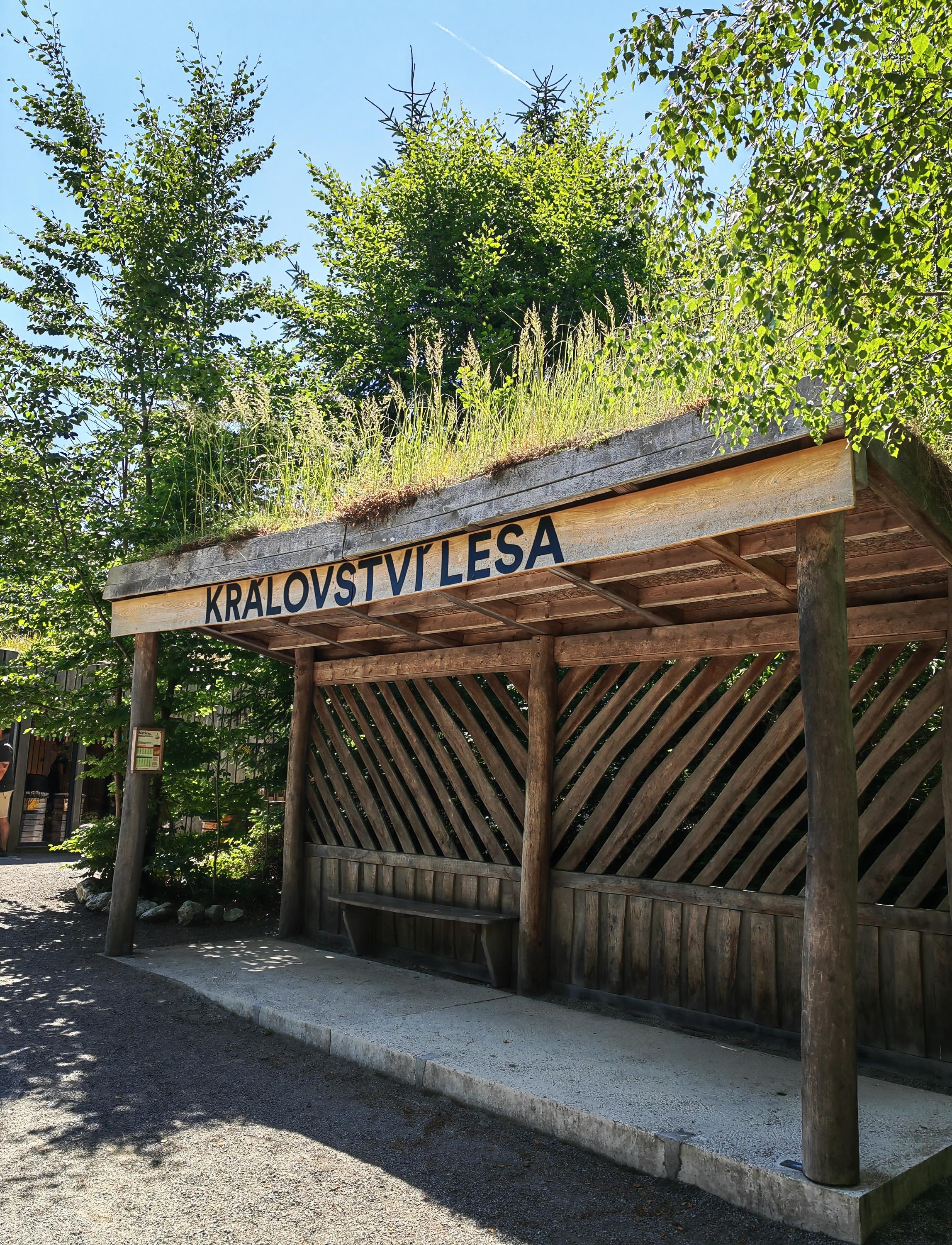 Království lesa Lipno foto 5
