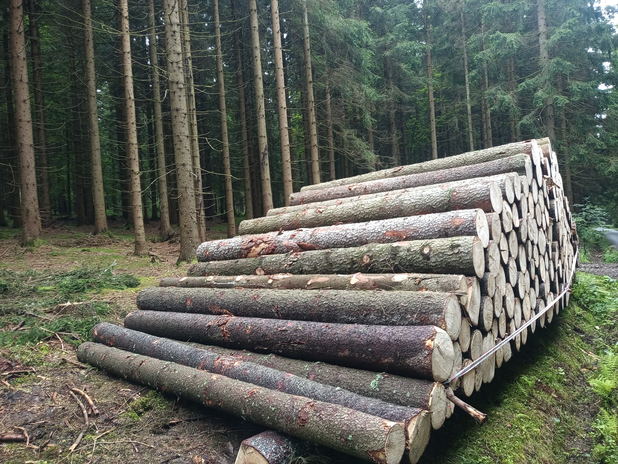 Palivové dřevo Nymburk foto 2