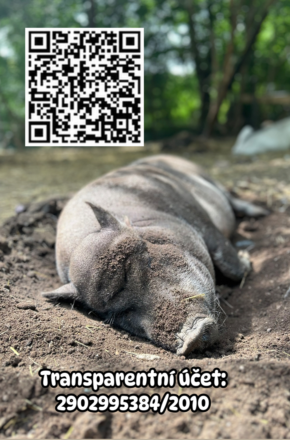 Malý farmář komunitní zahrada foto 5
