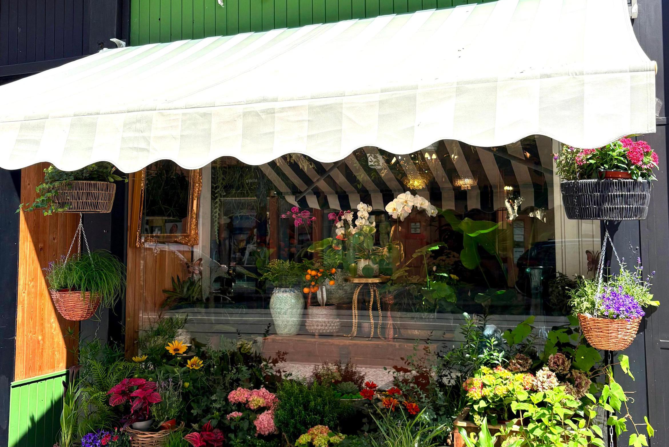 Talia Flowers foto 1