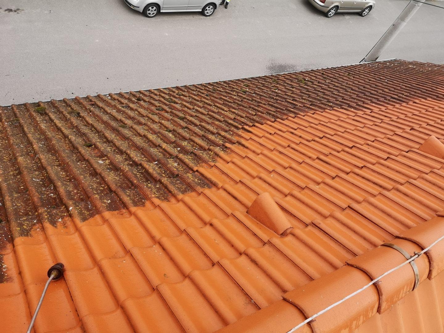 BRYUM Čištění foto 4
