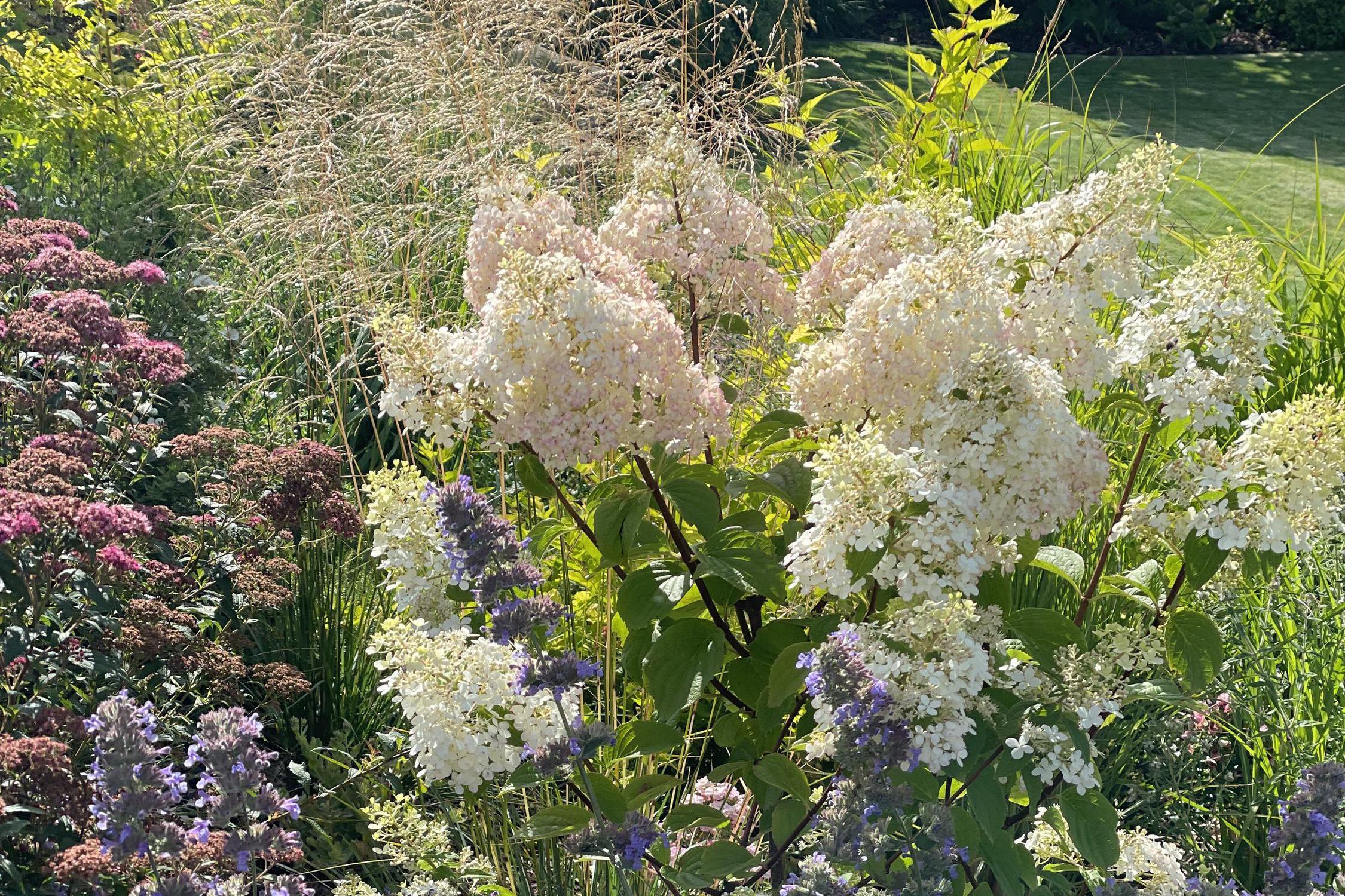 Bydlíme na zahradě, s.r.o.
