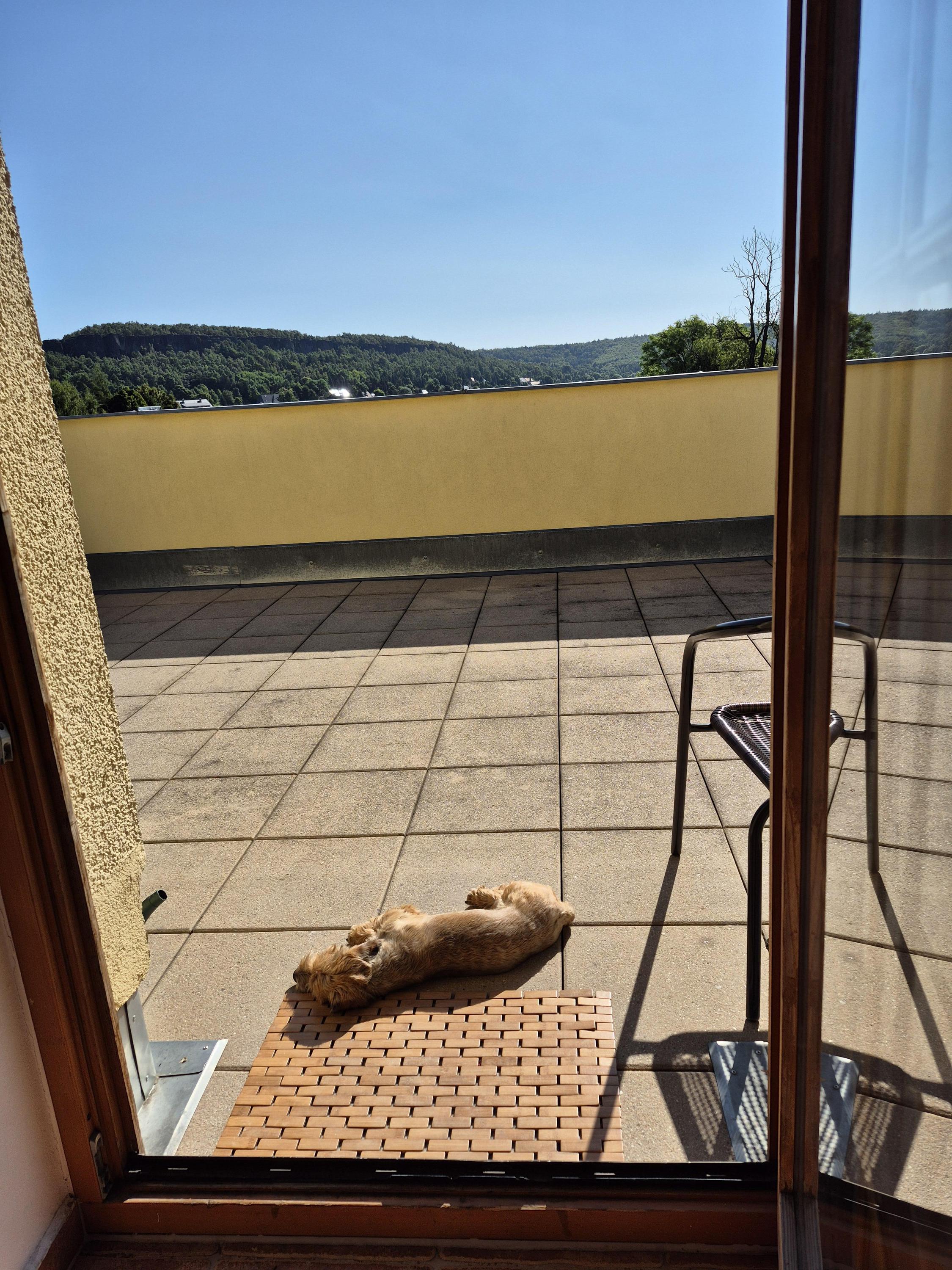 Apartmány Tisá 452 foto 6