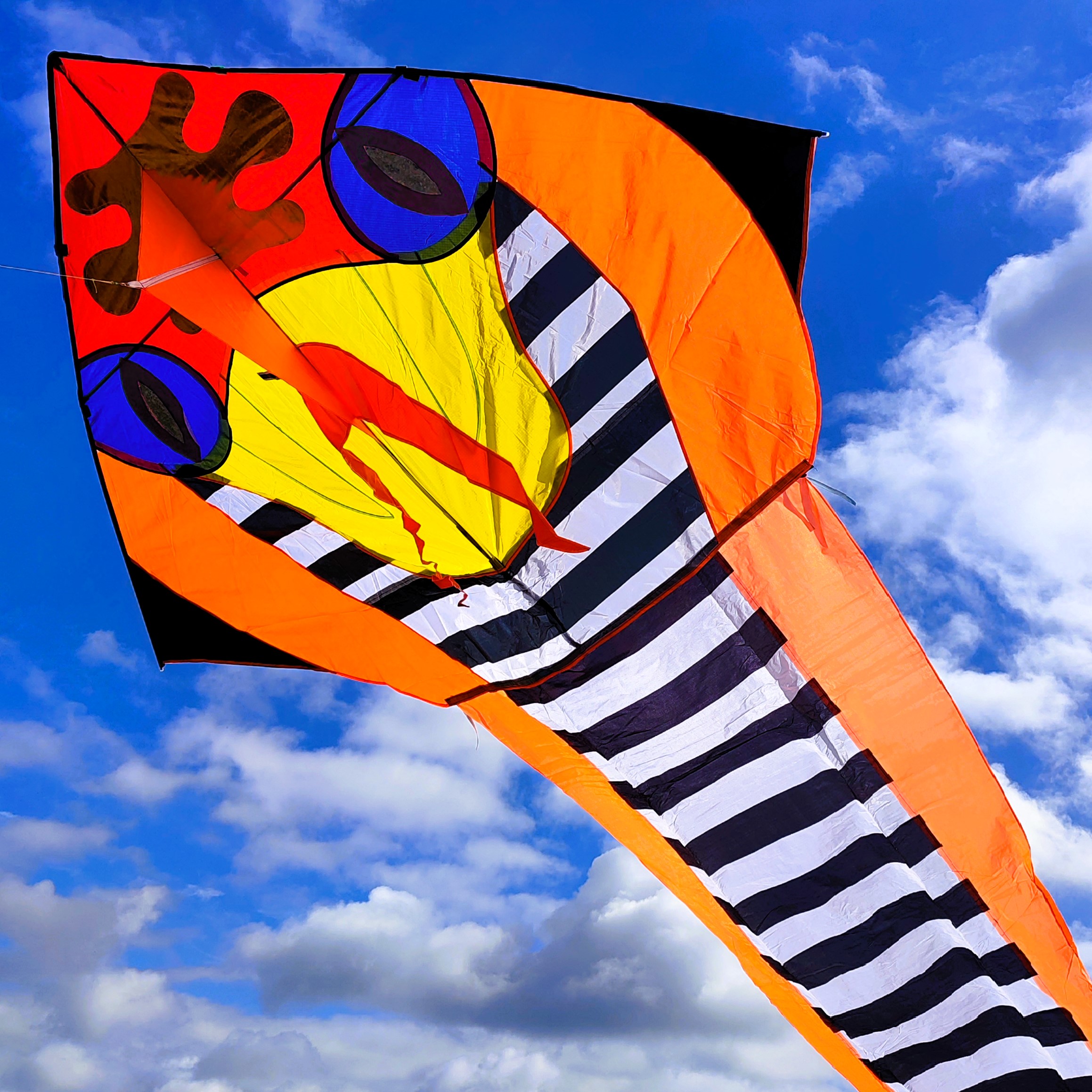 Létající draci T.O.M foto 2