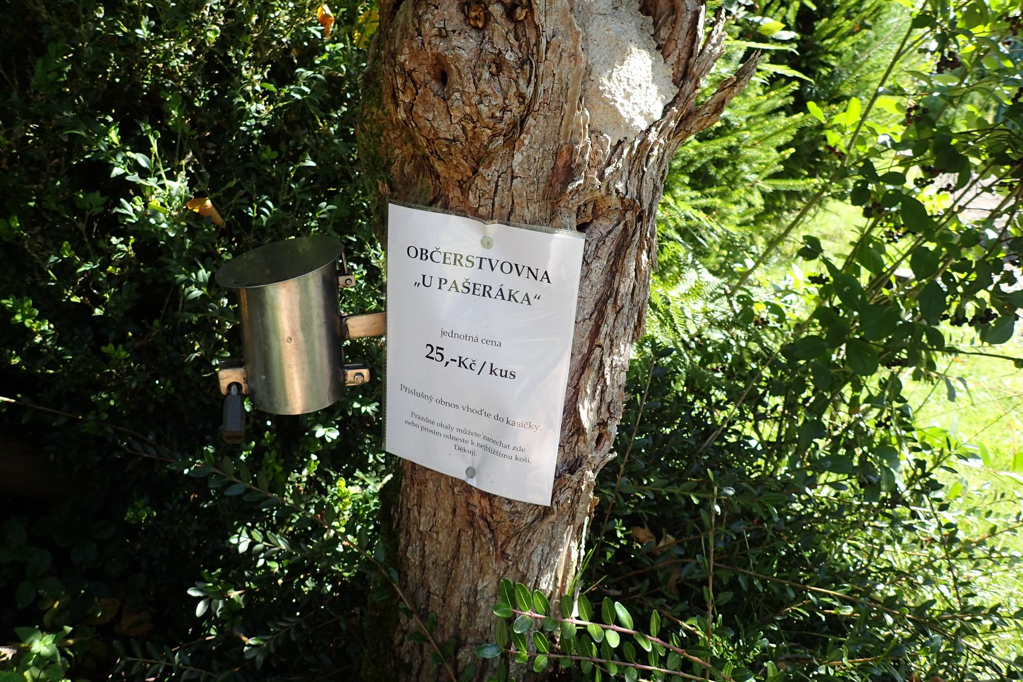 Samoobslužný bar Borová foto 2