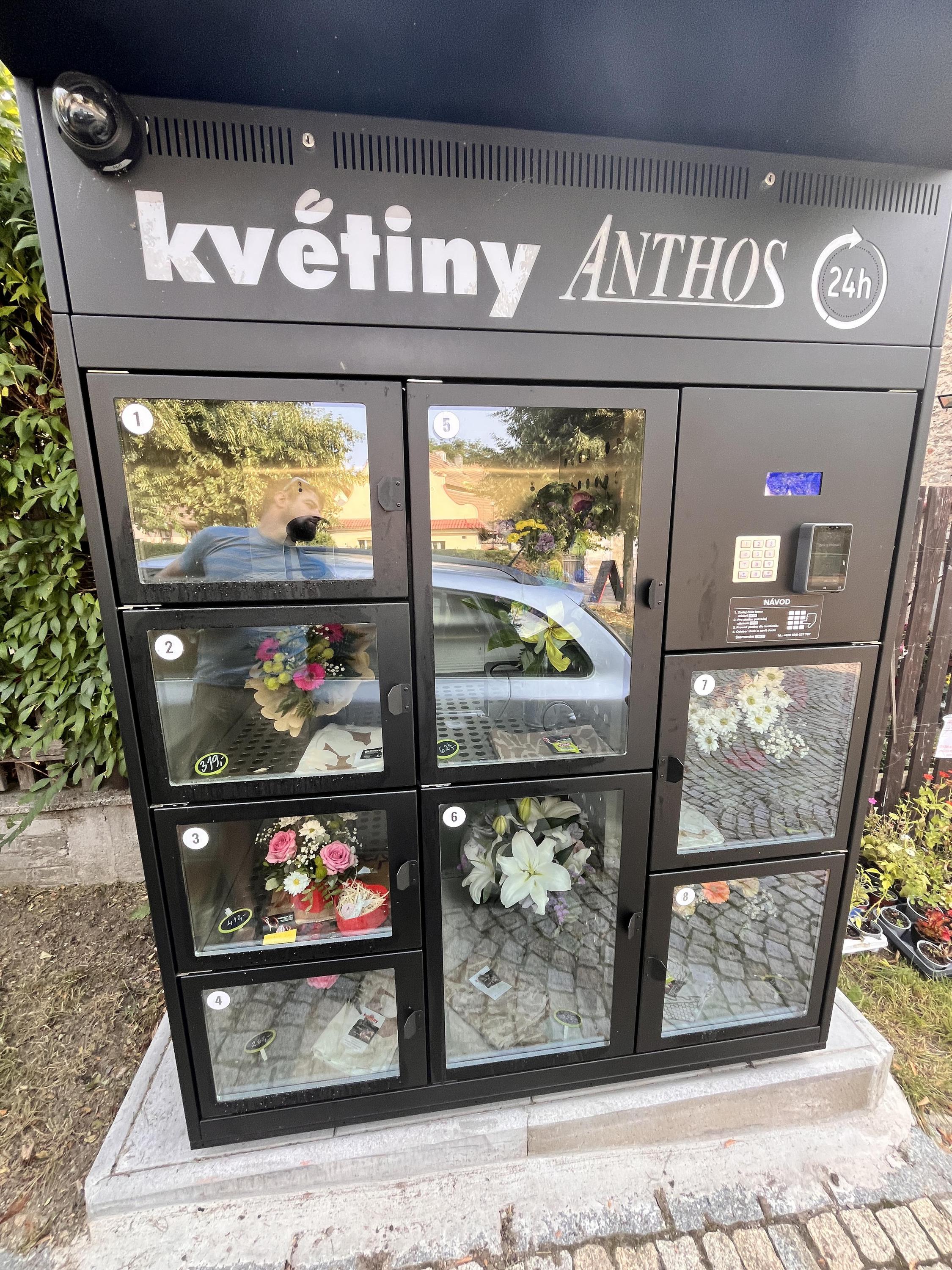 Květiny ANTHOS foto 5