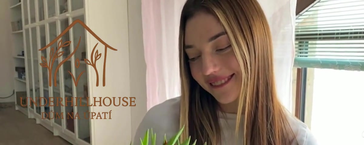 Underhillhouse - dům na úpatí foto 2 (náhled videa)