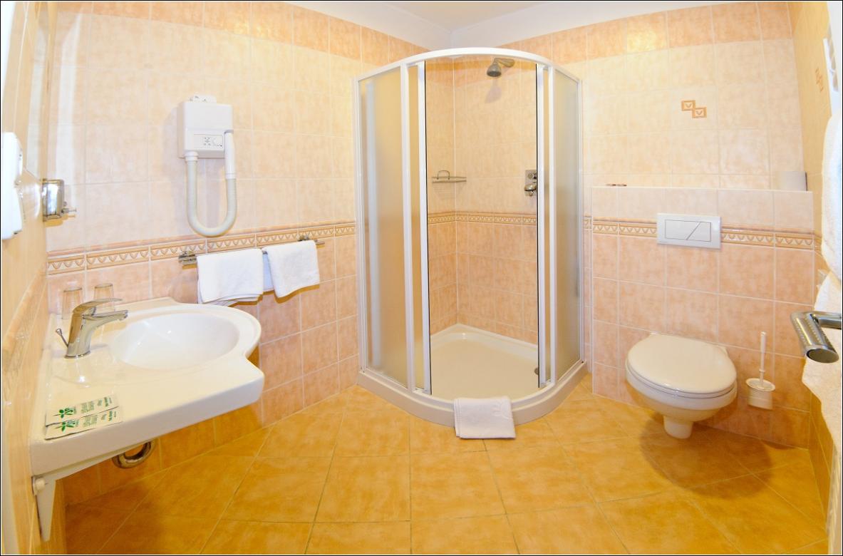Hotel Alexis foto 5
