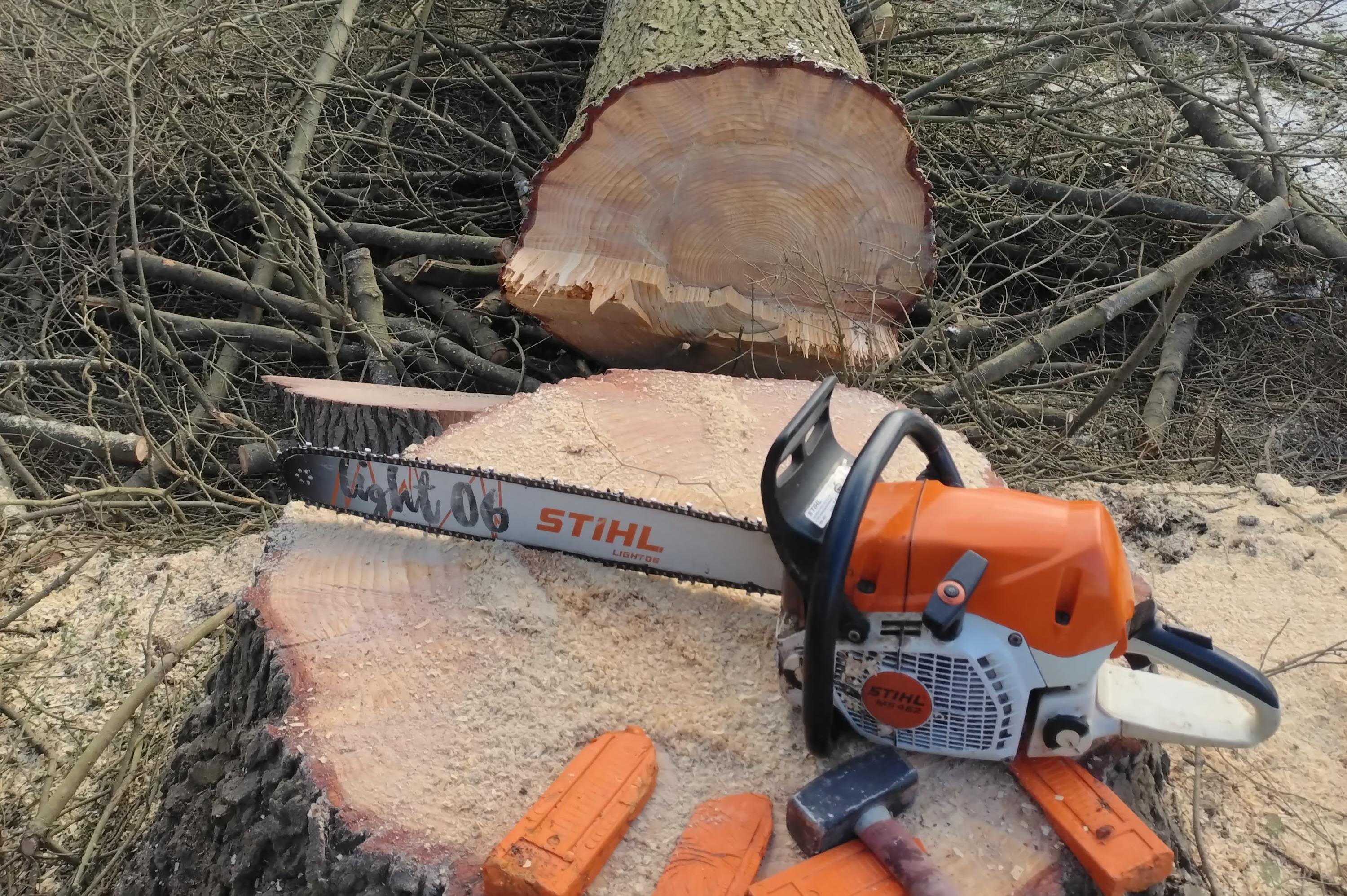 Anděl kácí stromy