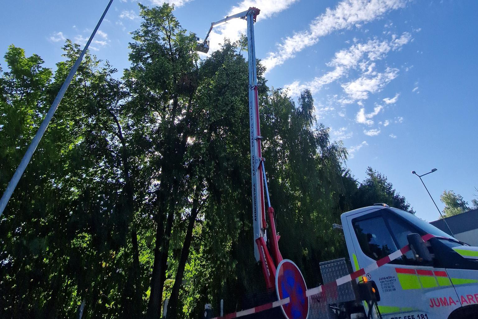 JUMAzeleň - Komplexní péče o zeleň