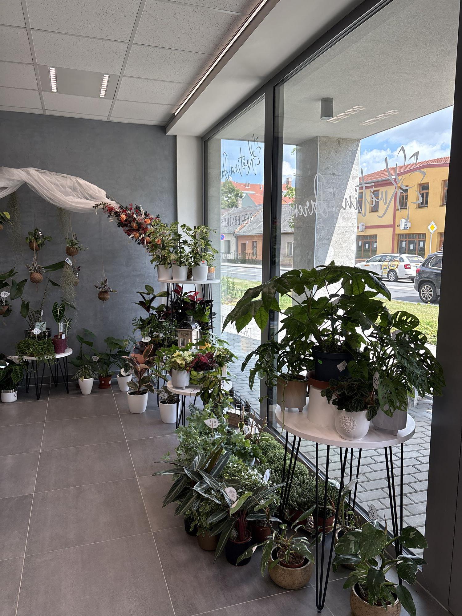 Květina Darem foto 2