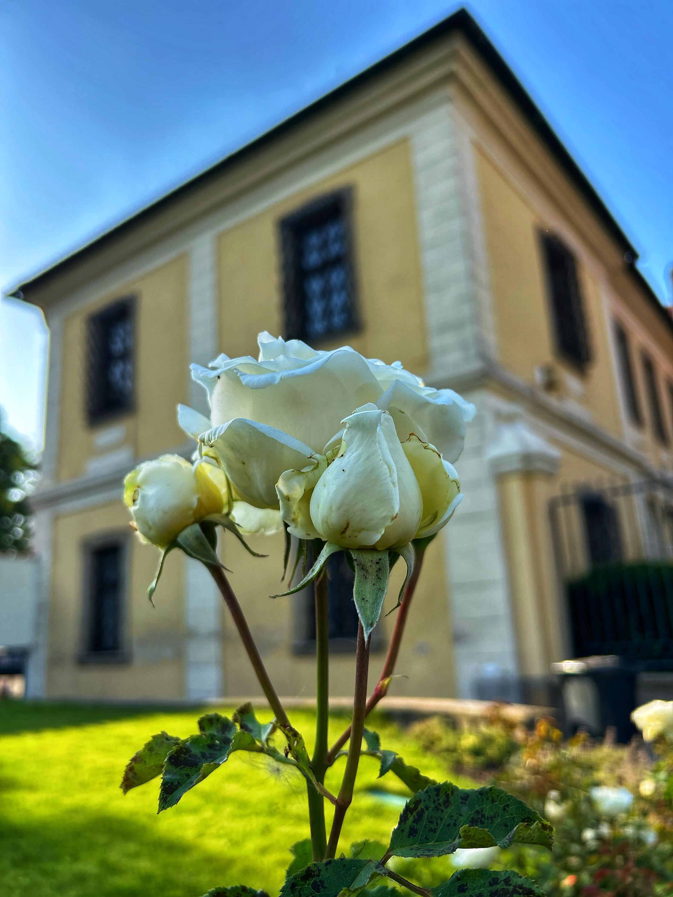Kladenský zámek foto 6