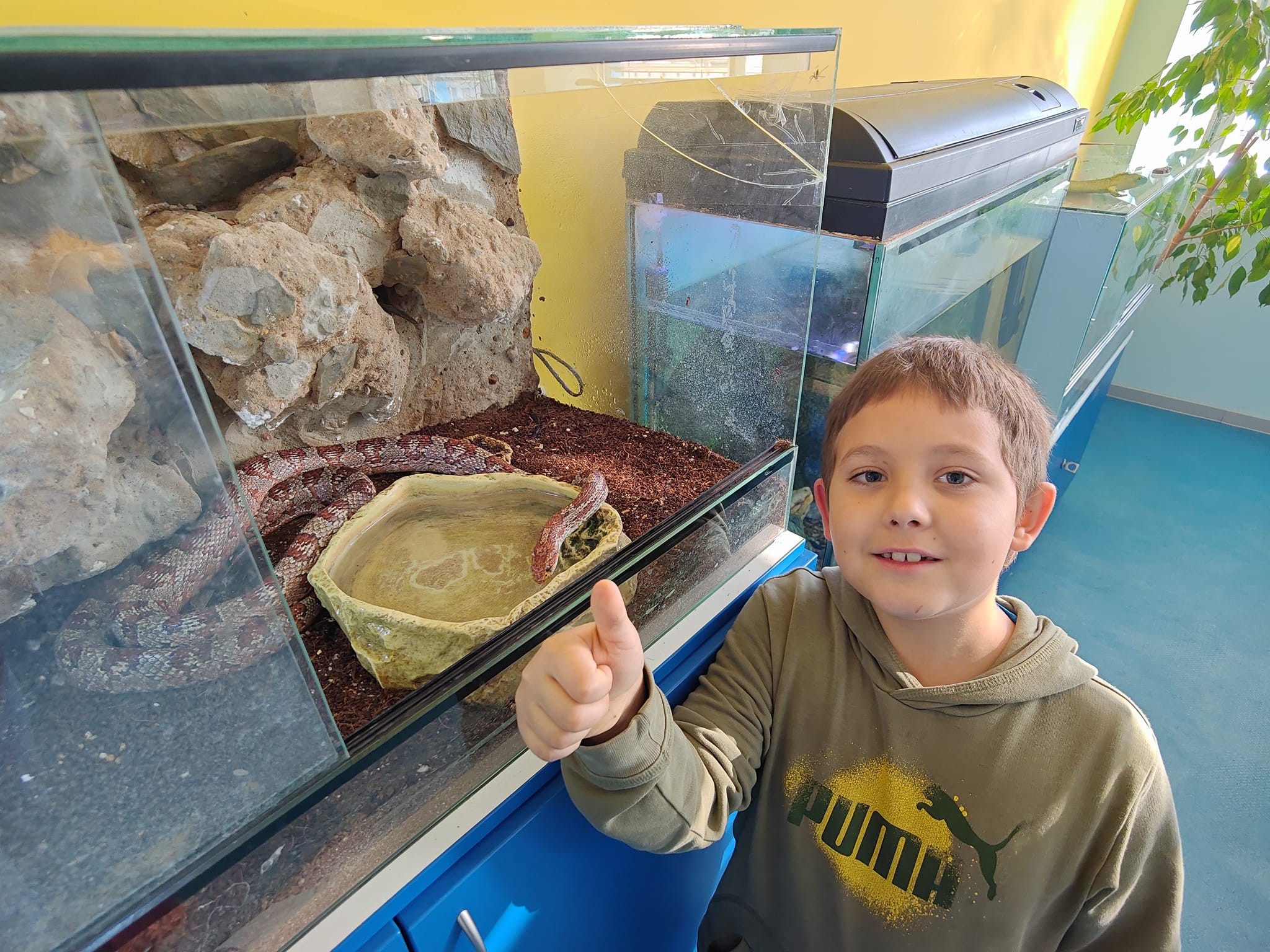 Dům dětí a mládeže Nová generace foto 3