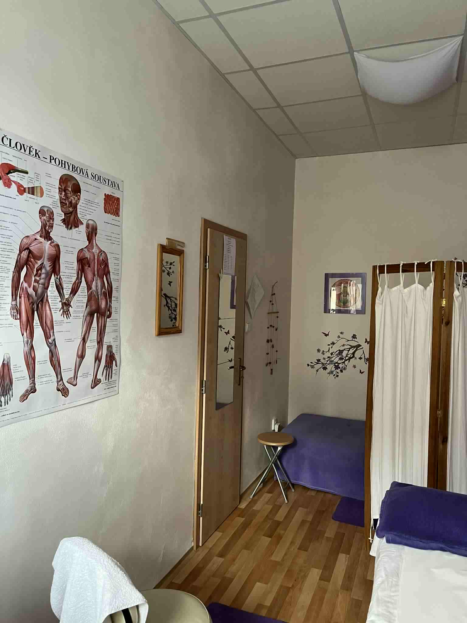 Masáže Jana Doudová foto 2