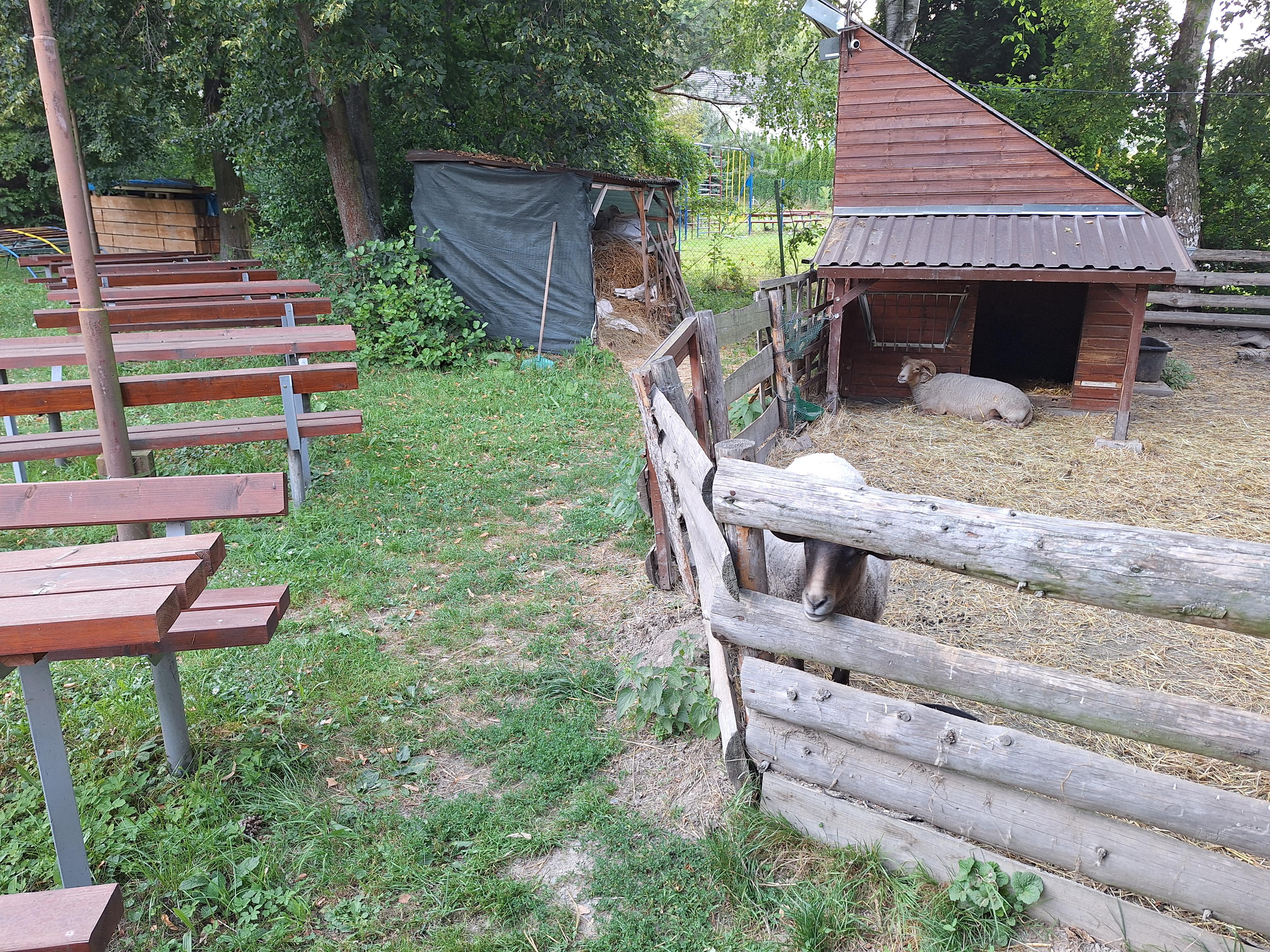 Občerstvení Na Točně foto 4