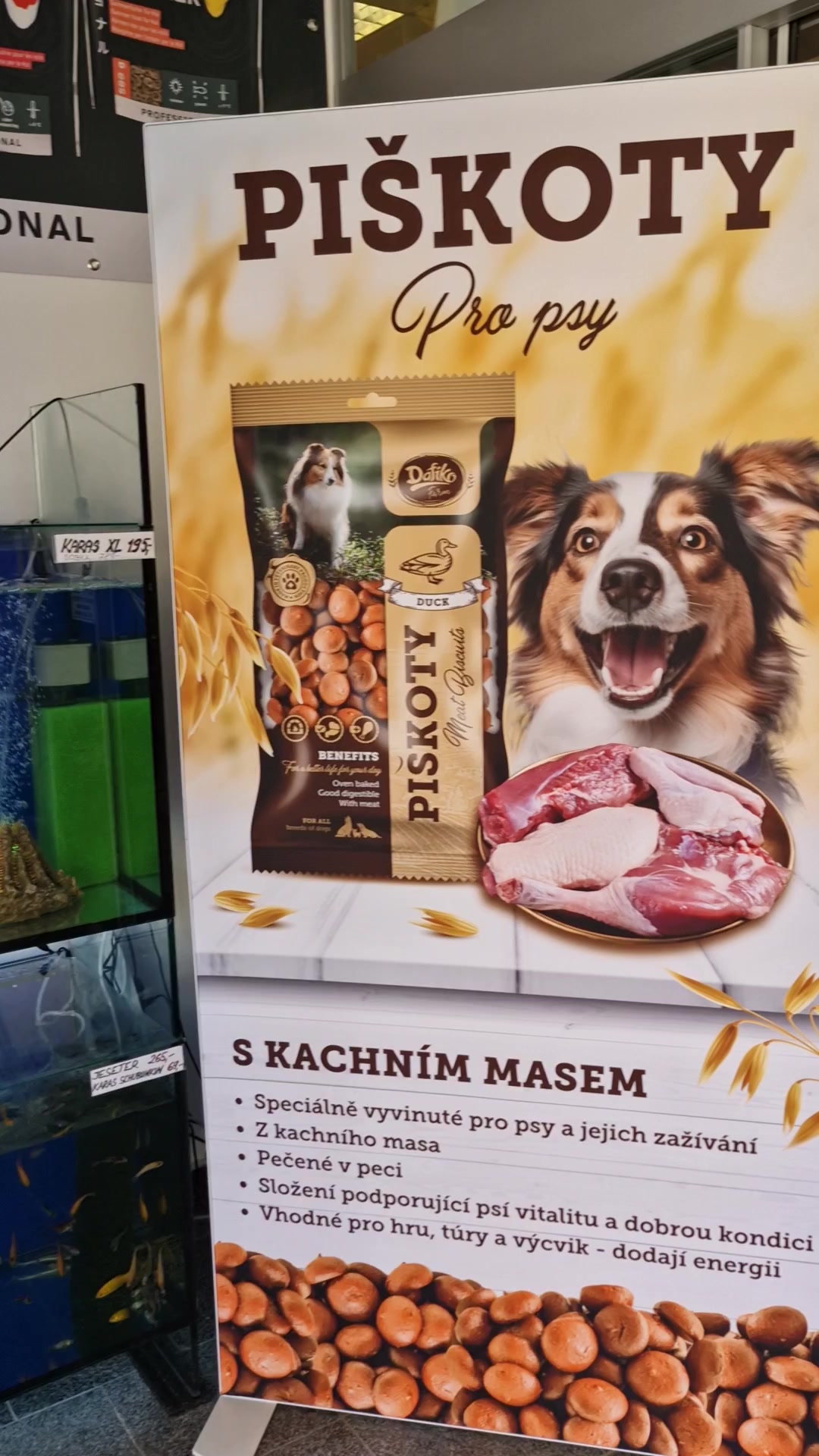 ZOO ŽAKO foto 2 (náhled videa)