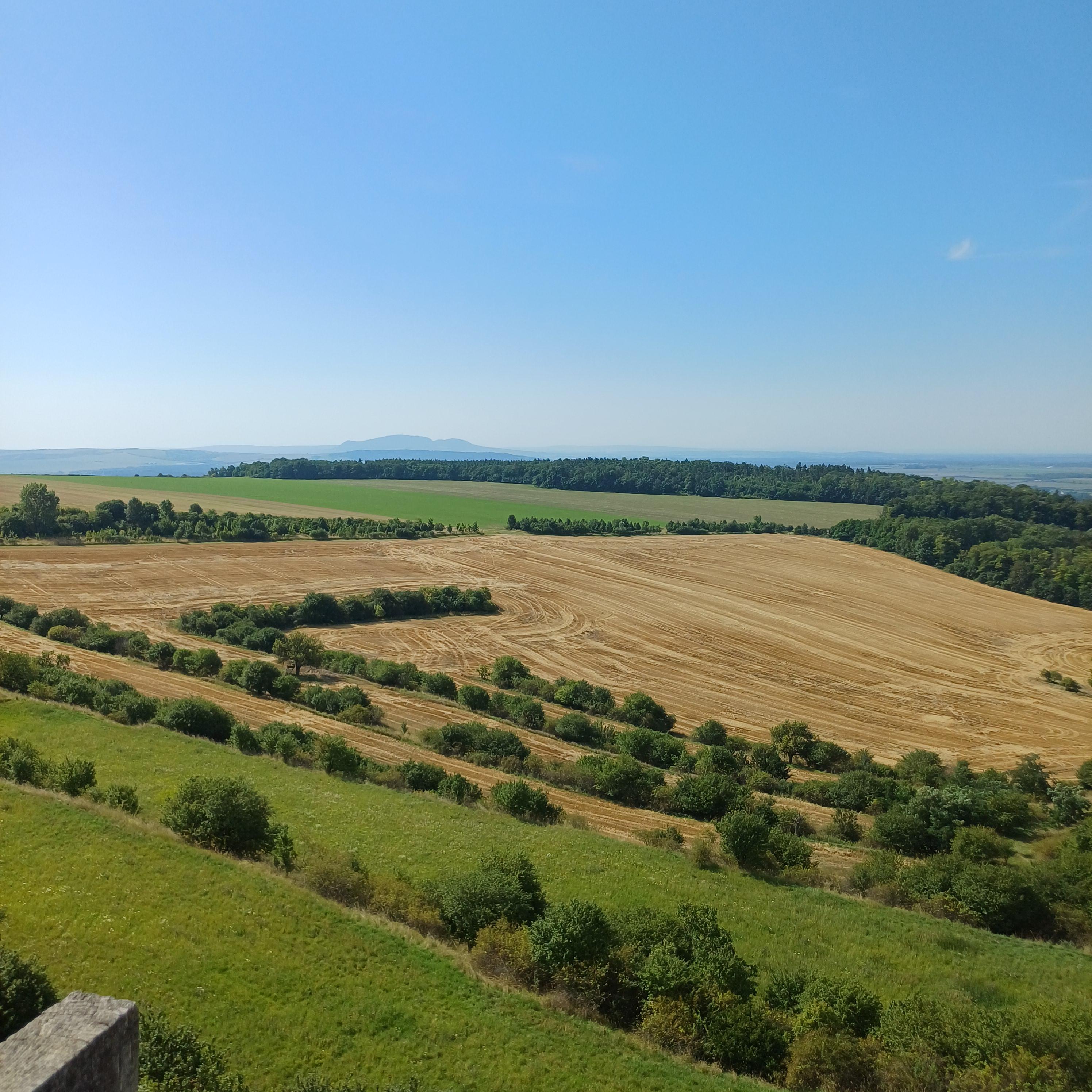 Restaurace náměstí Míru 25, Židlochovice foto 2
