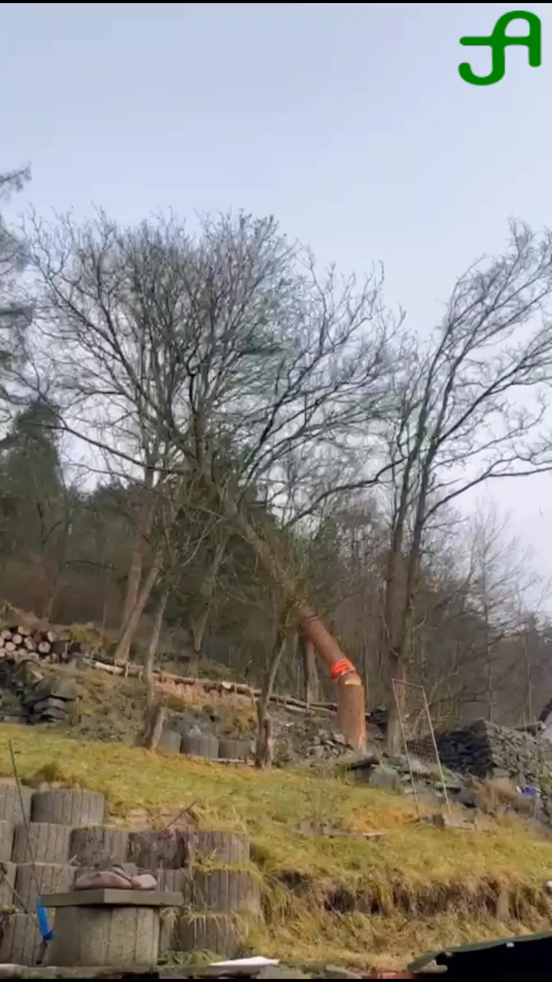 Anděl kácí stromy foto 2 (náhled videa)