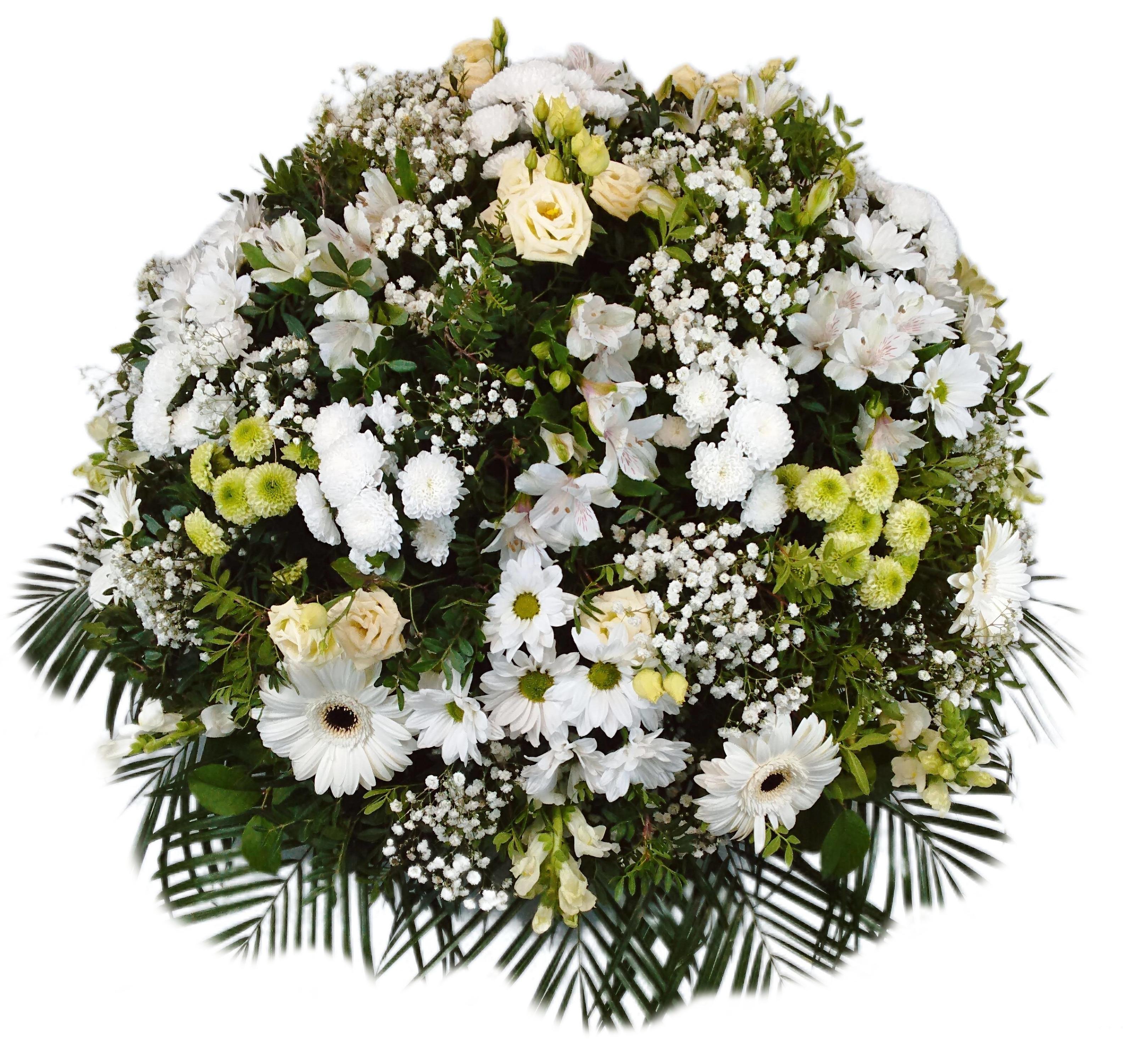 RV Pohřební služba Vevera s.r.o. foto 4