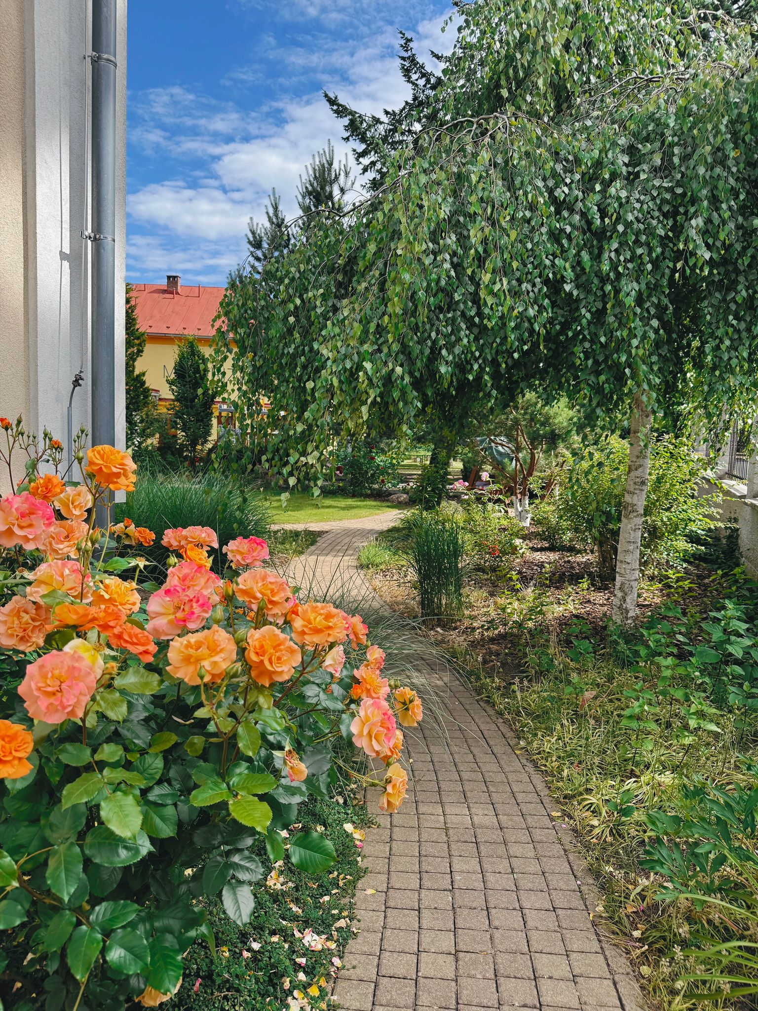Balneo hotel Villa Walir foto 6