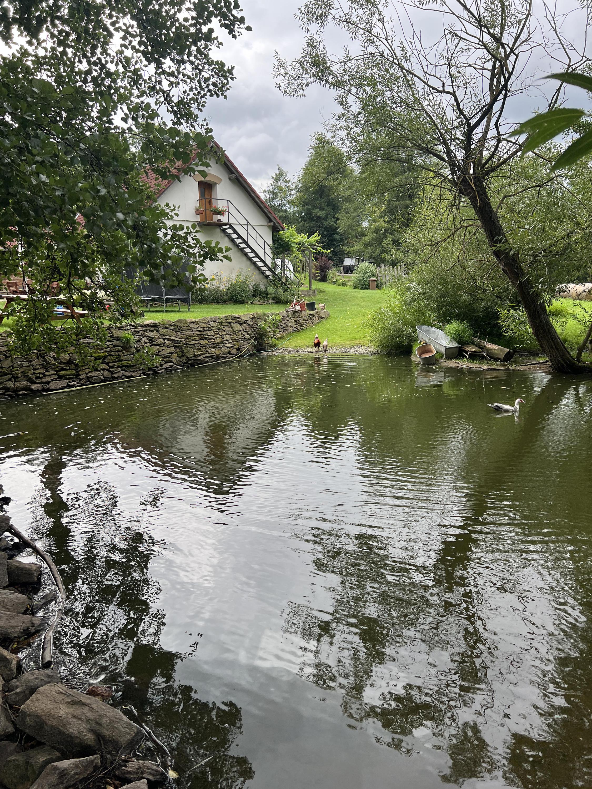 Farma Dolejší mlýn foto 4