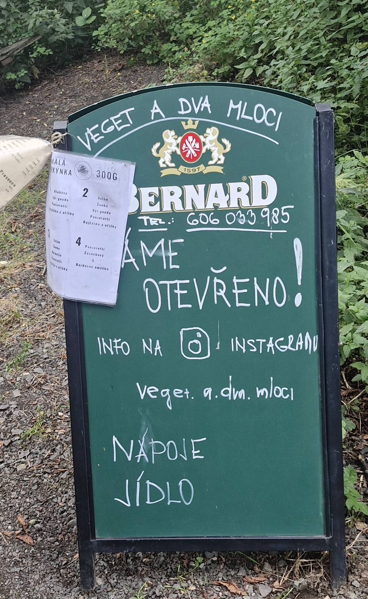 Občerstvení Veget a dva mloci foto 3