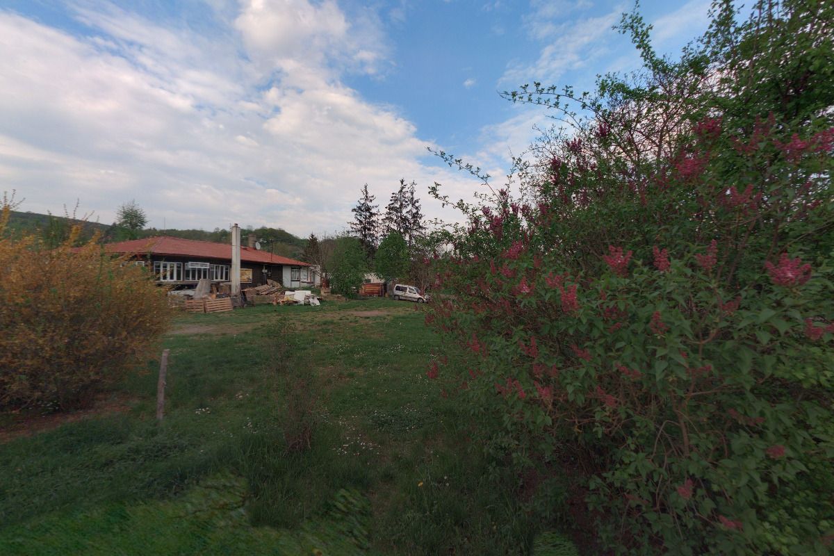 Půjčovna lodí Dronte foto 2