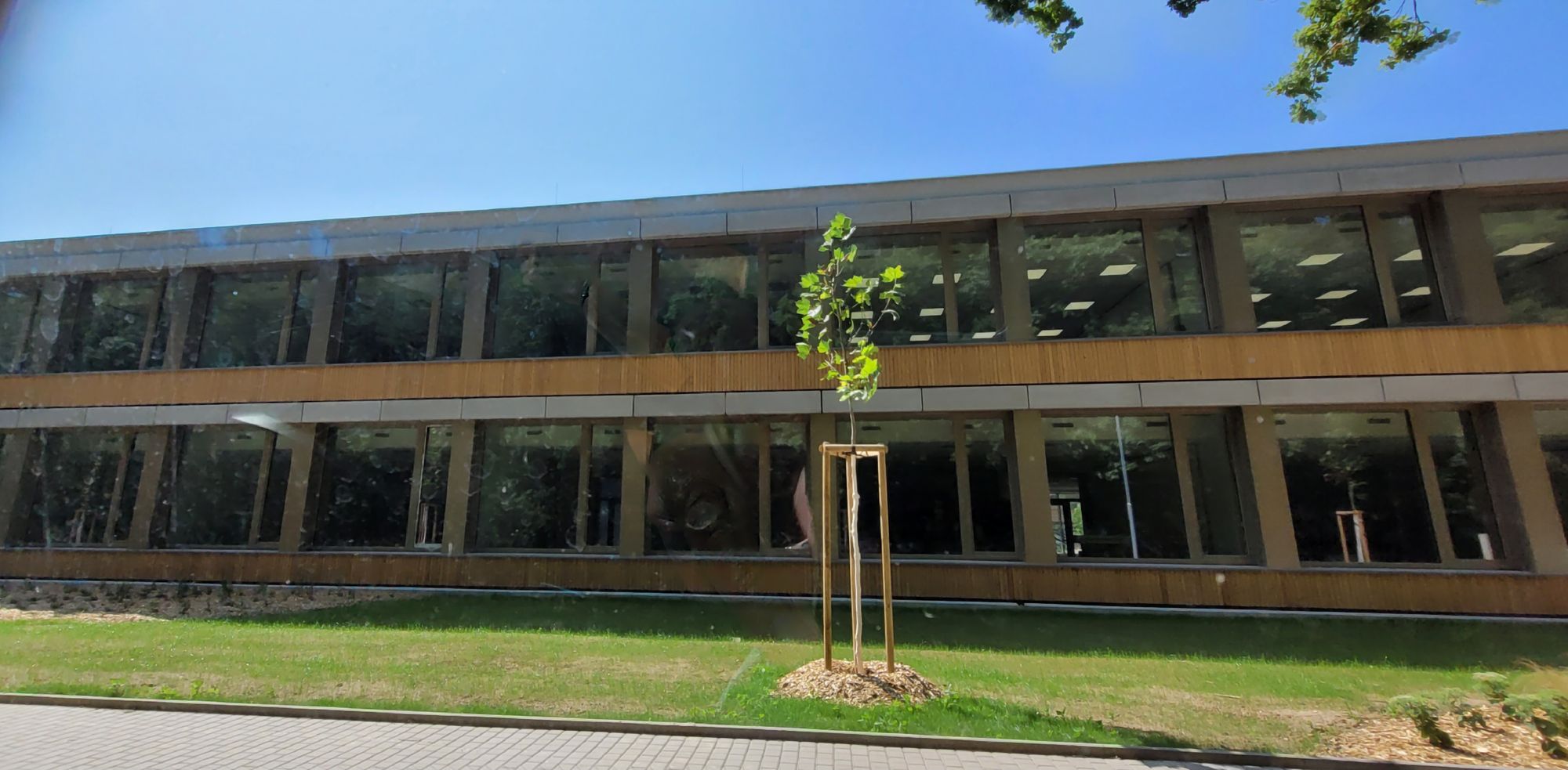 Svazková základní škola LOŠBATES foto 4