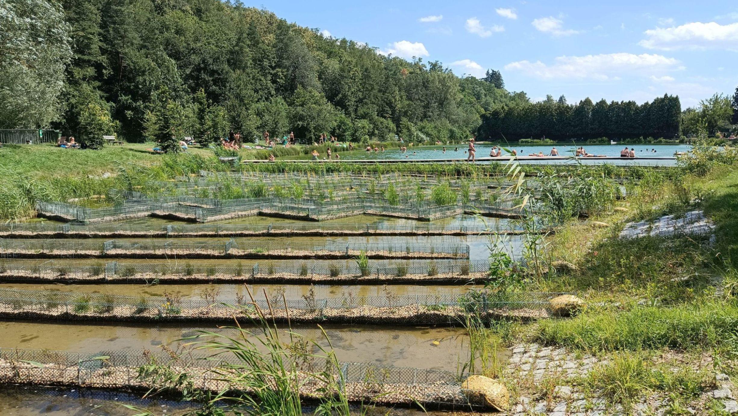 Koupaliště Říčany foto 3