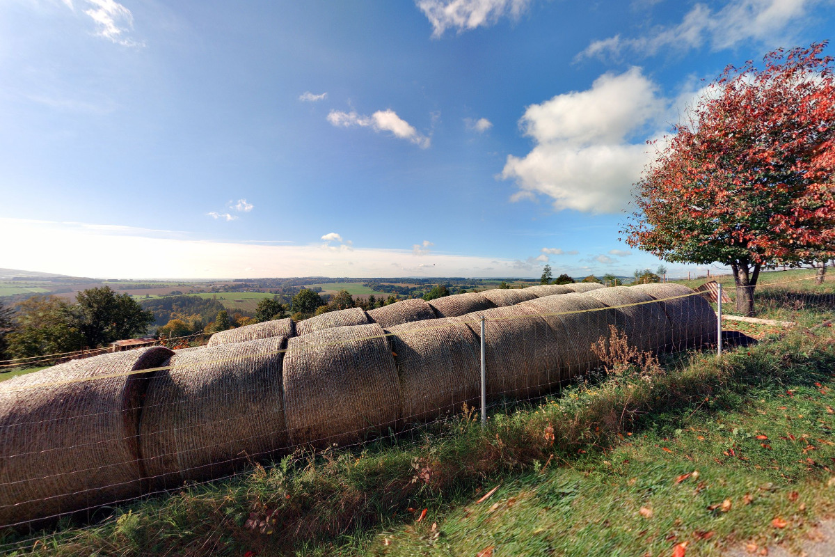 Kiosek Ranch Highland