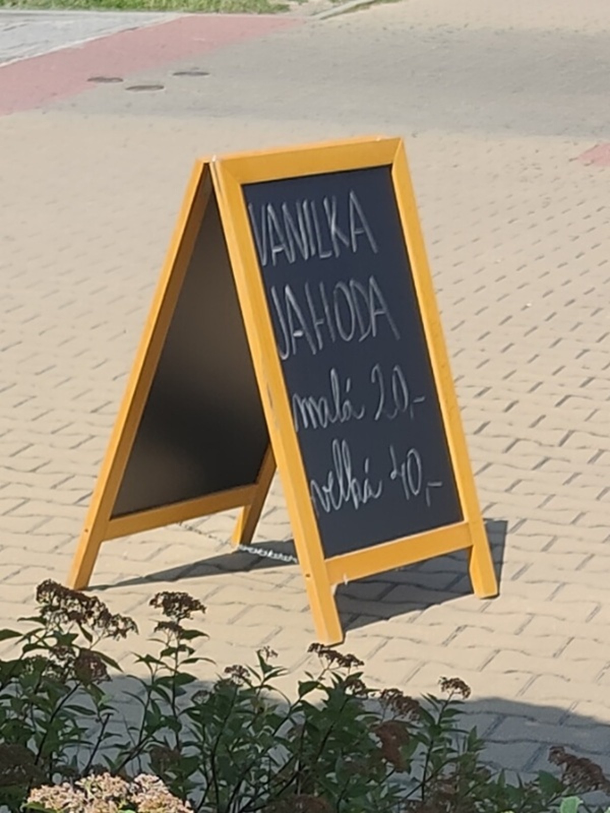 Točená zmrzlina Francouzská třída foto 2