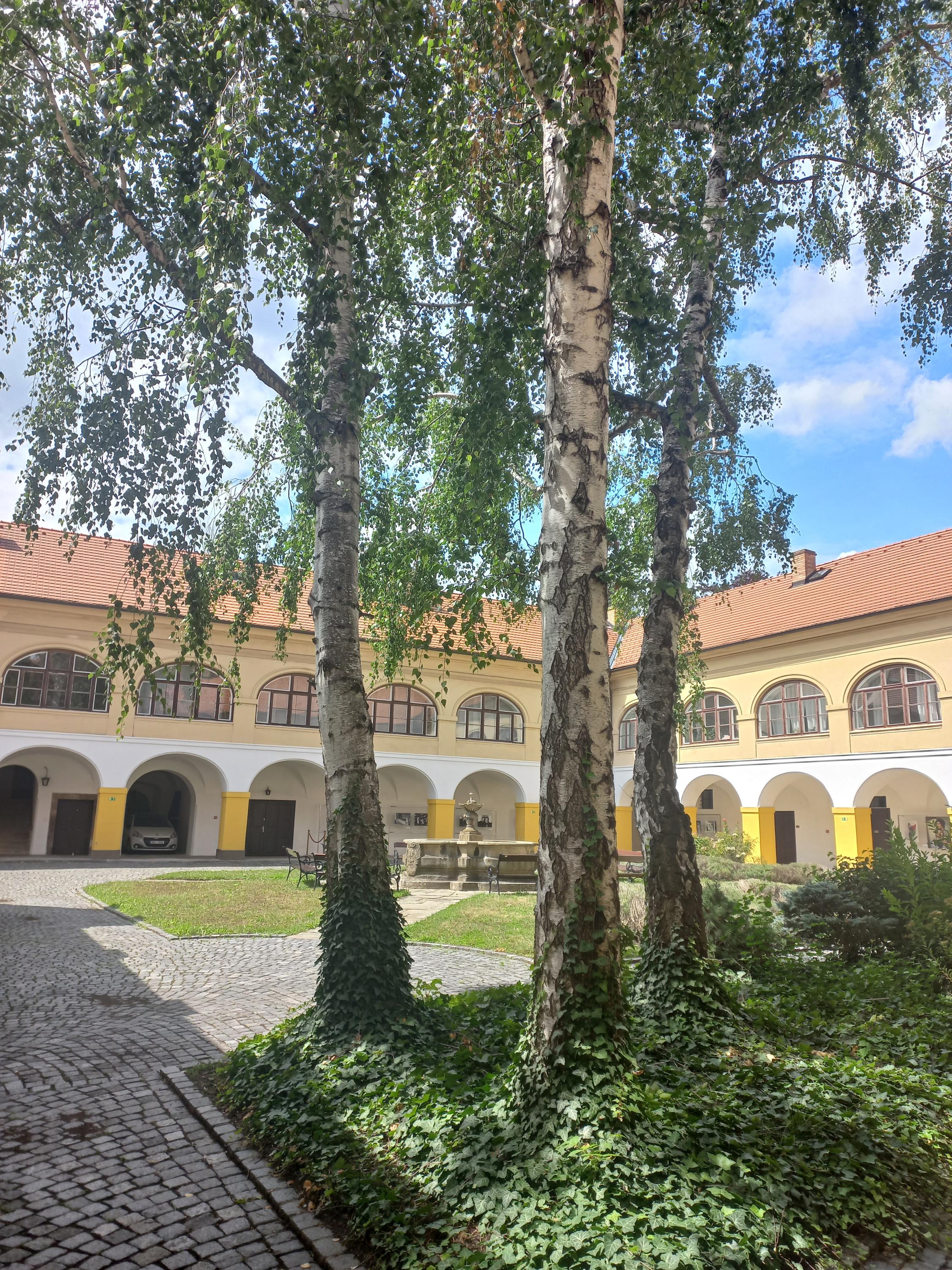 Italský kulturní institut foto 4