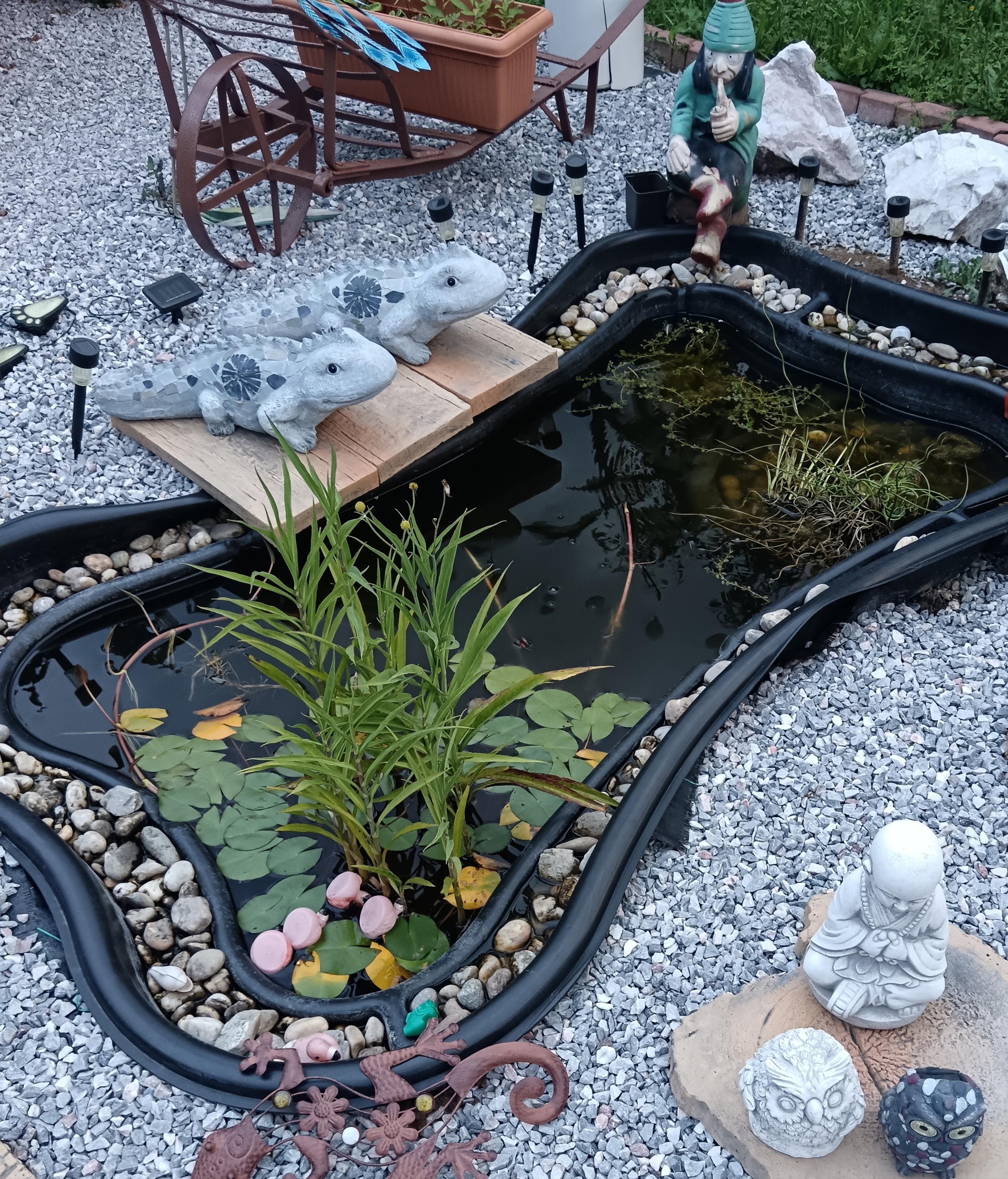 Gaba- zahradnické práce, údržba a úklid foto 2