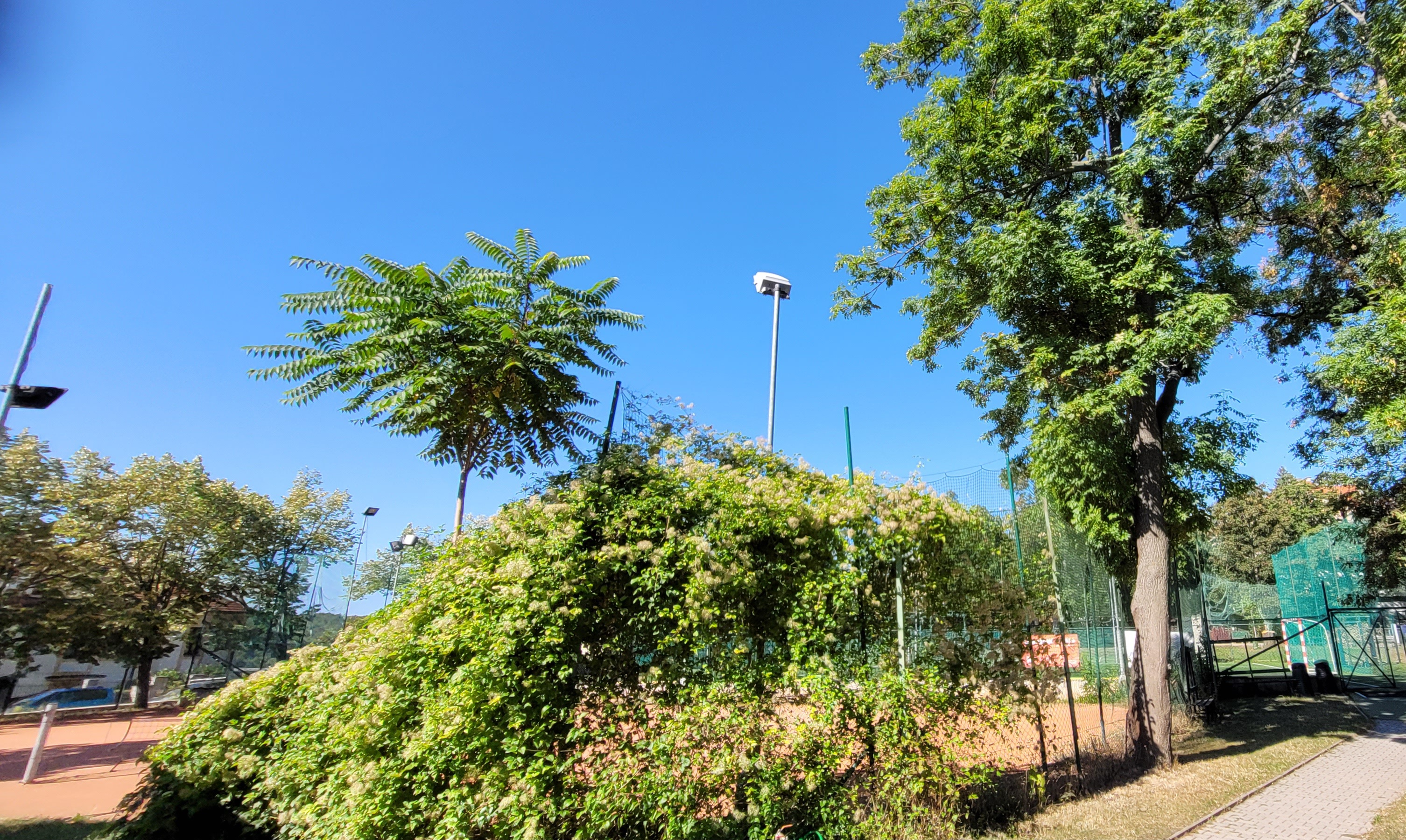 Dělnická tělovýchovná jednota Santoška, z. s. foto 2