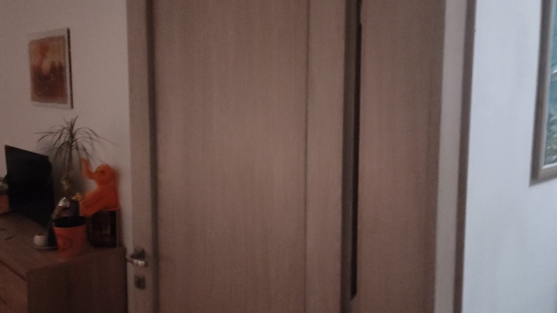 Penzion PALMA foto 2 (náhled videa)