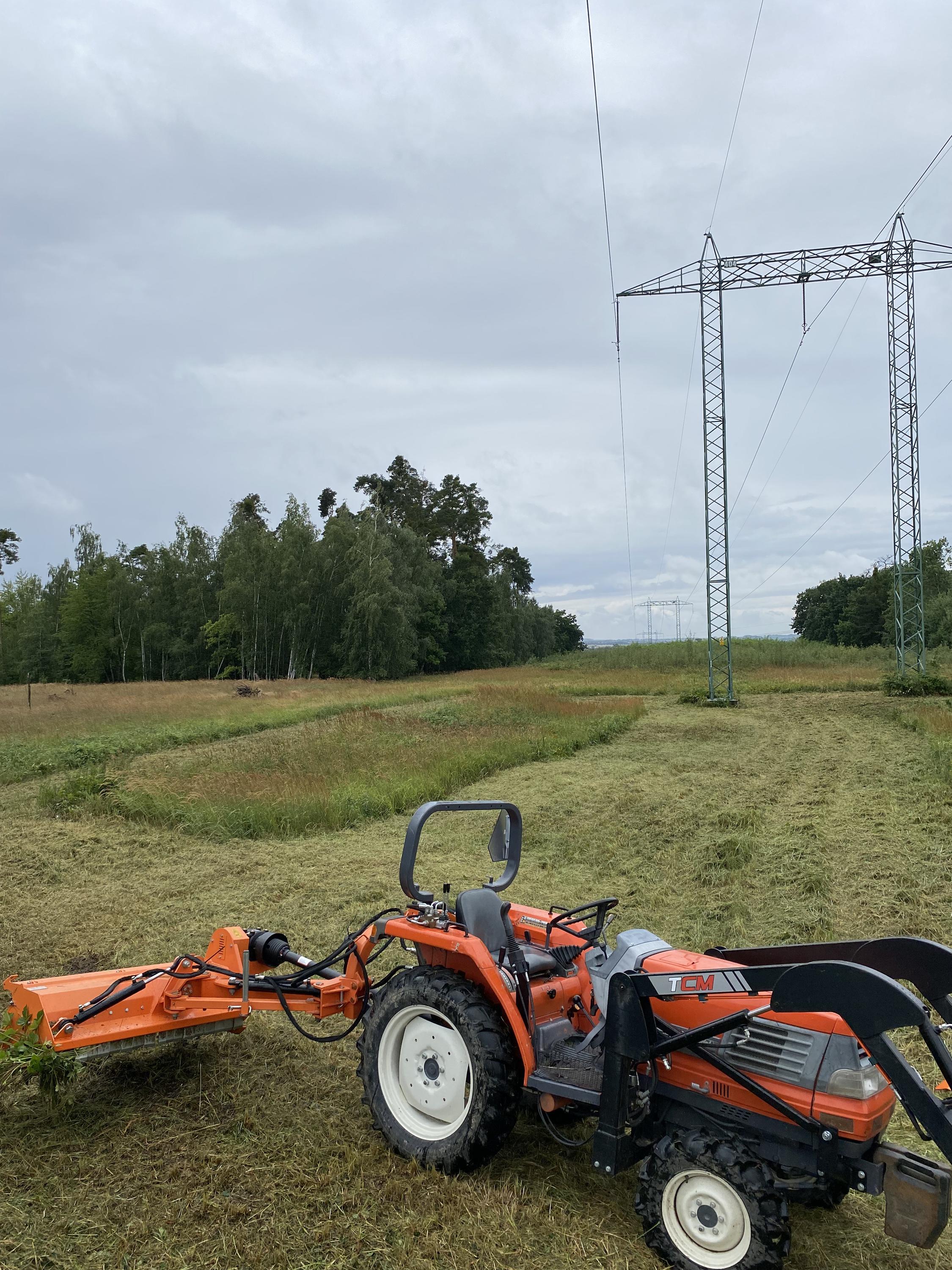 SAD ZAHRADA LES s.r.o. foto 2