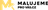 logo Malujeme pro vás