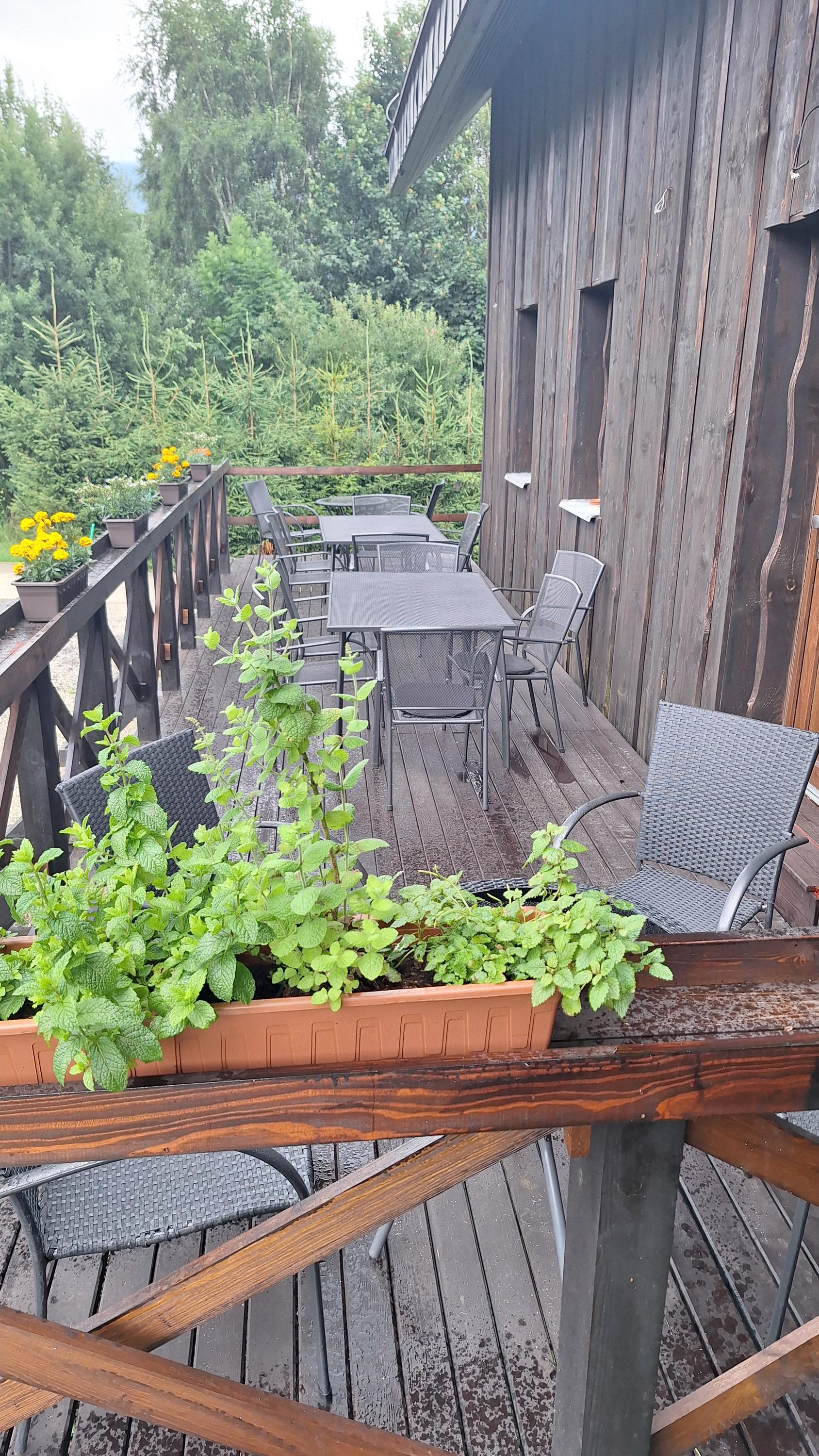 Restaurace U dvou studní foto 3