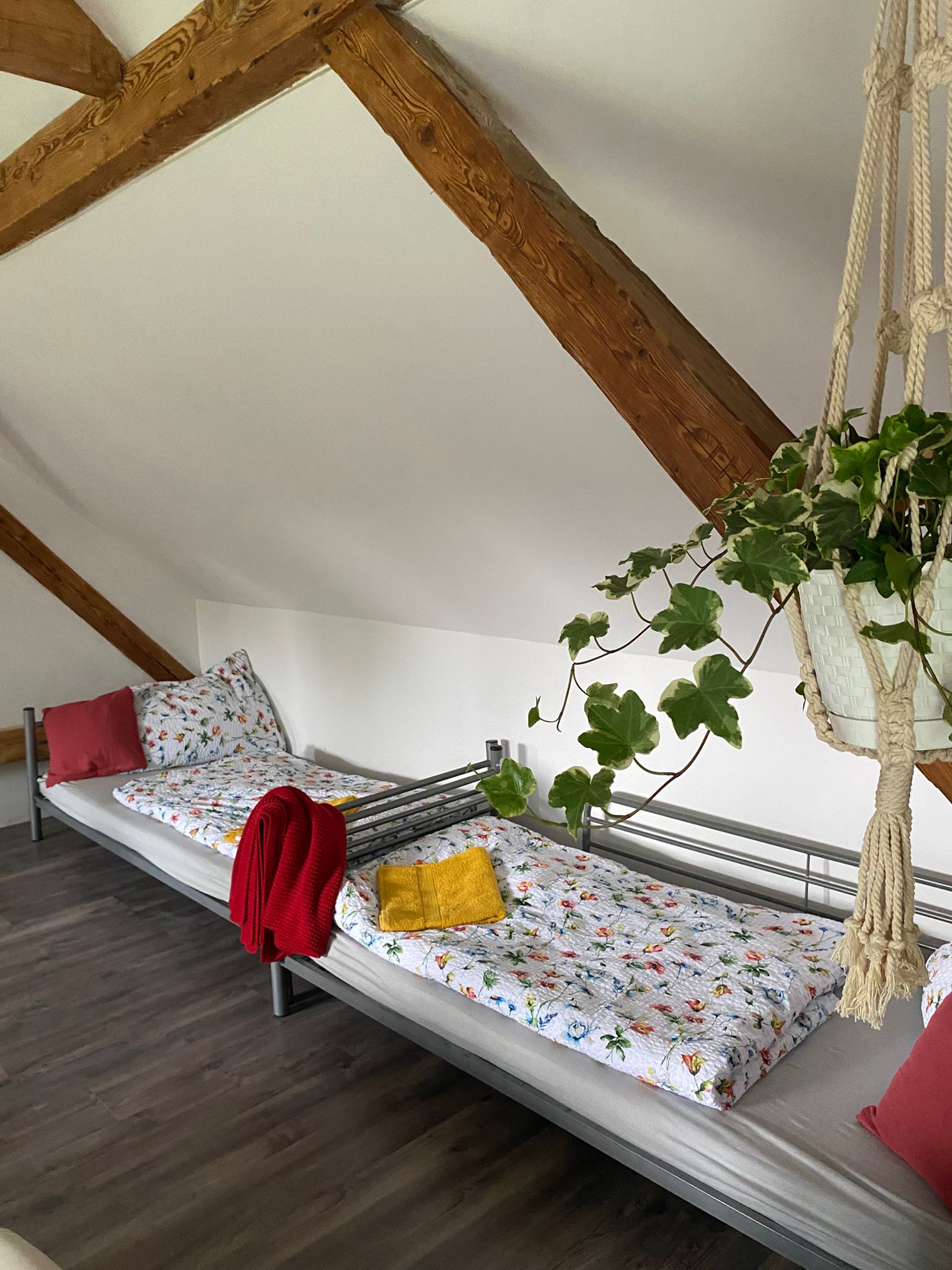 Ubytování na Farmě Humňany foto 3