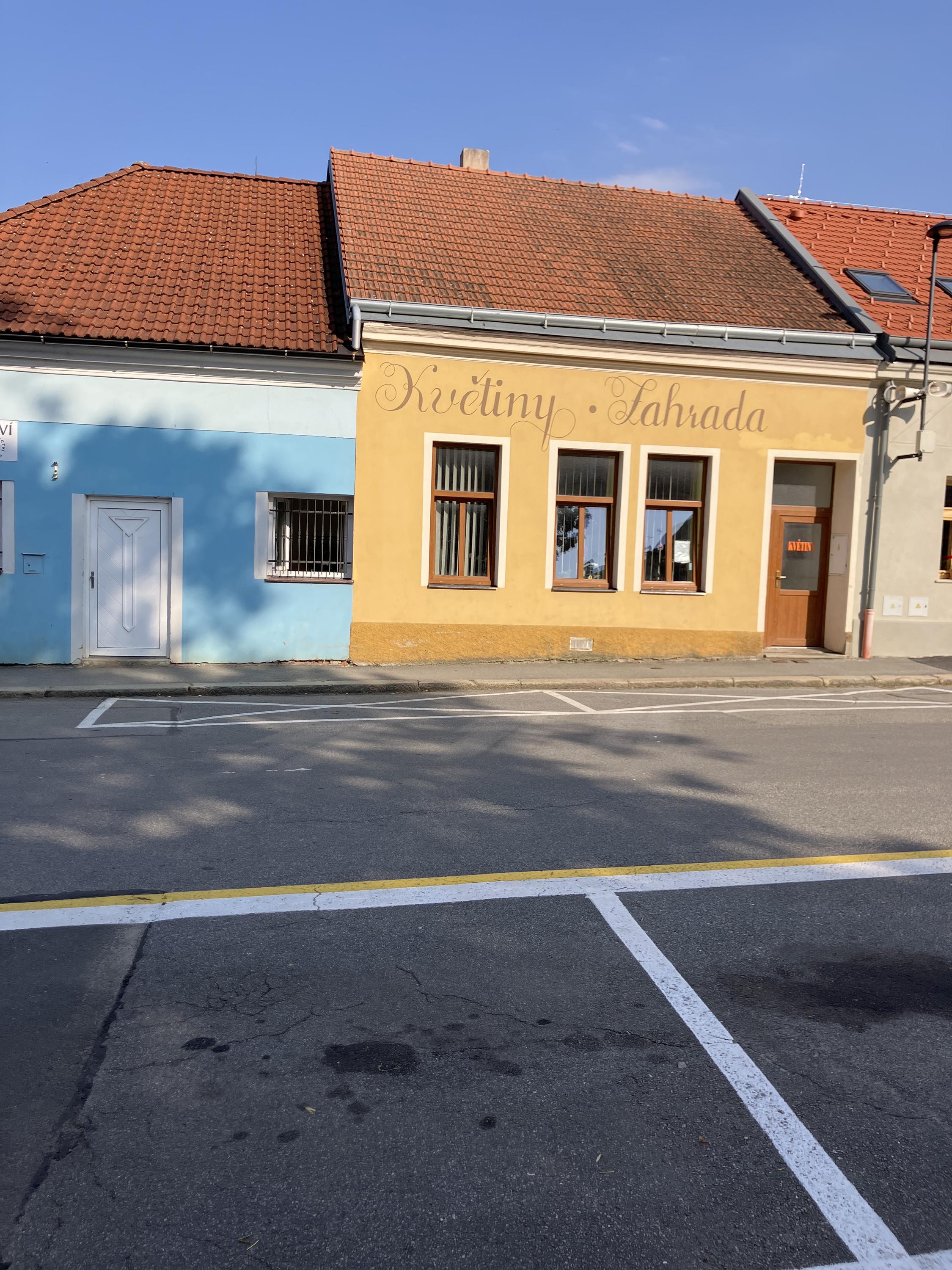 Dagmar Batrlová foto 1