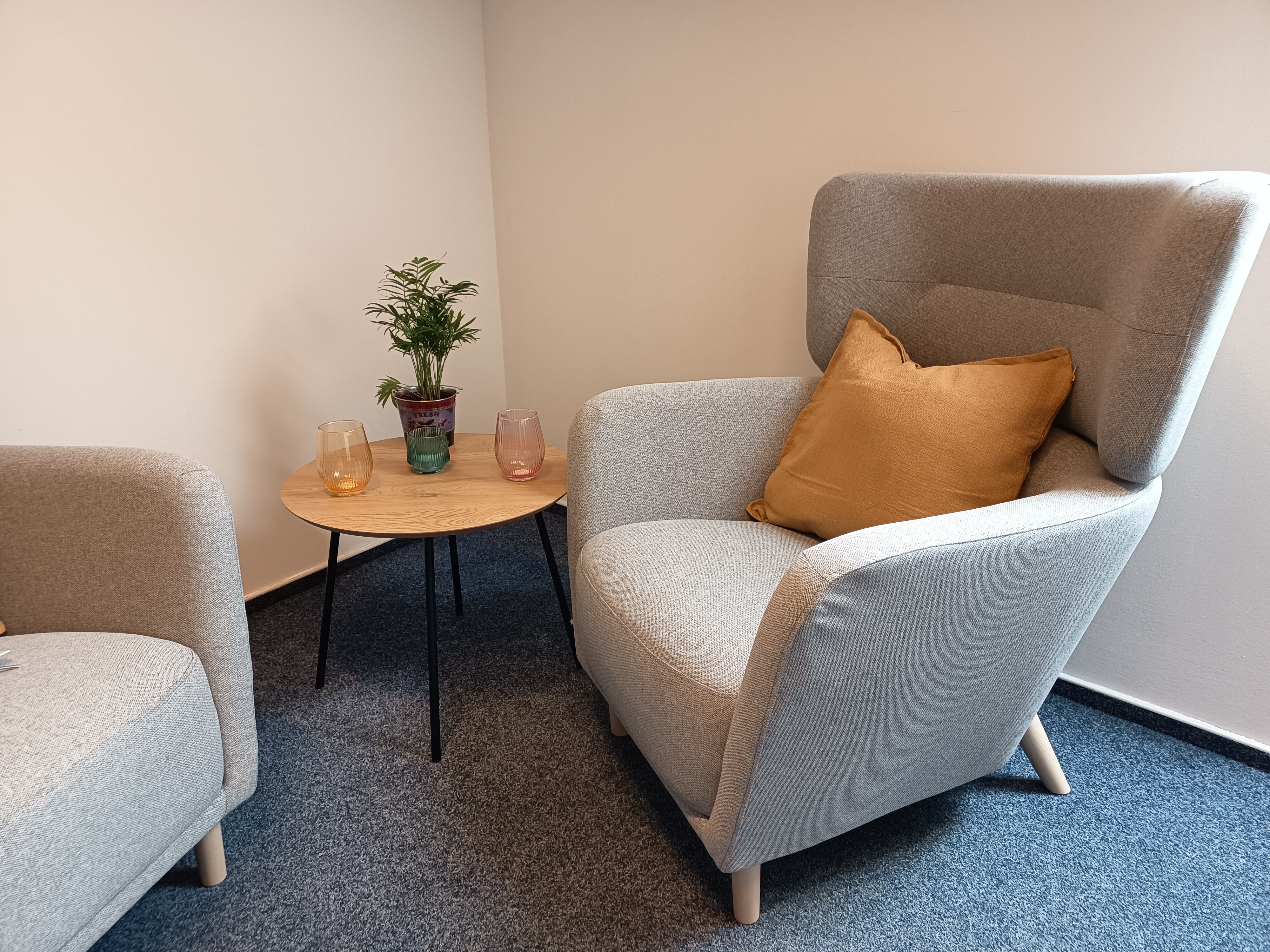 Bc. Ludmila Musilová - PEER průvodkyně (terapeut) foto 5