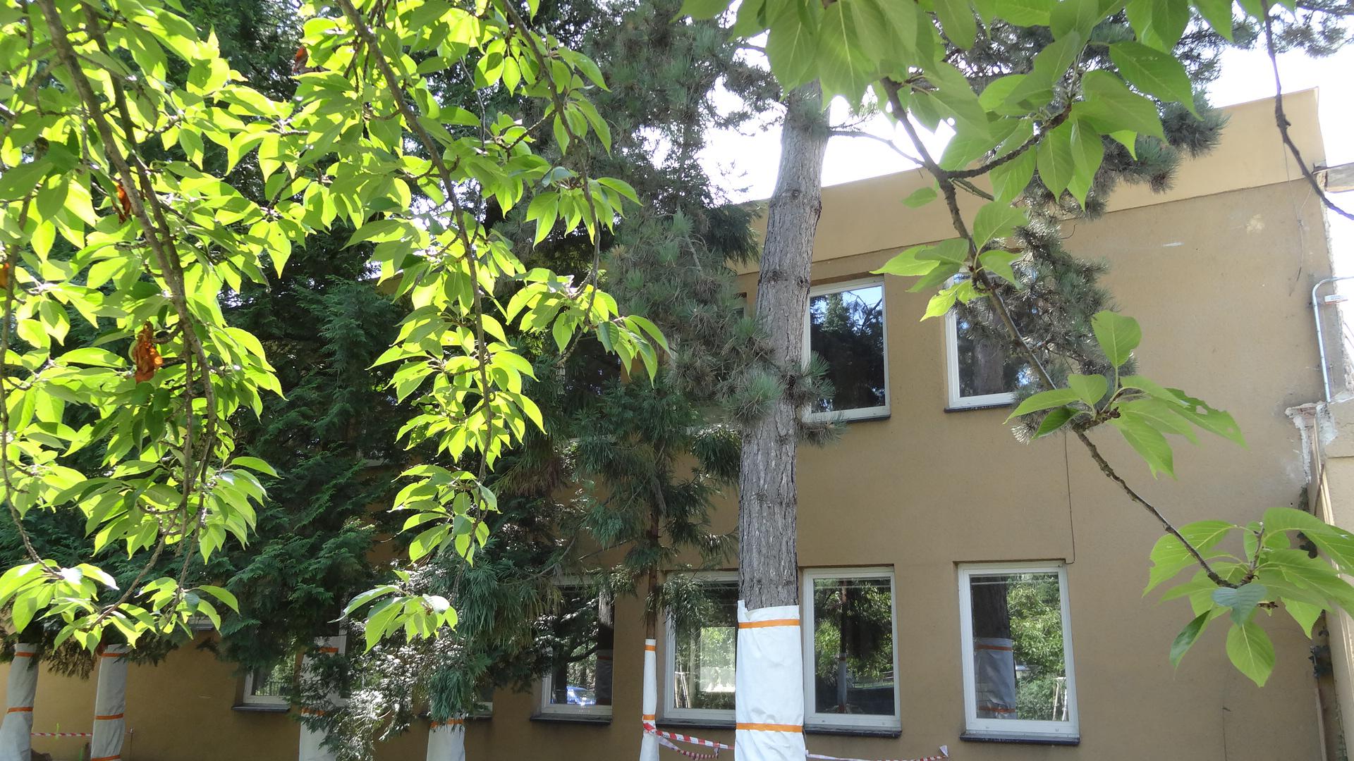 Mateřská škola Brno, Marie Majerové 14 foto 3