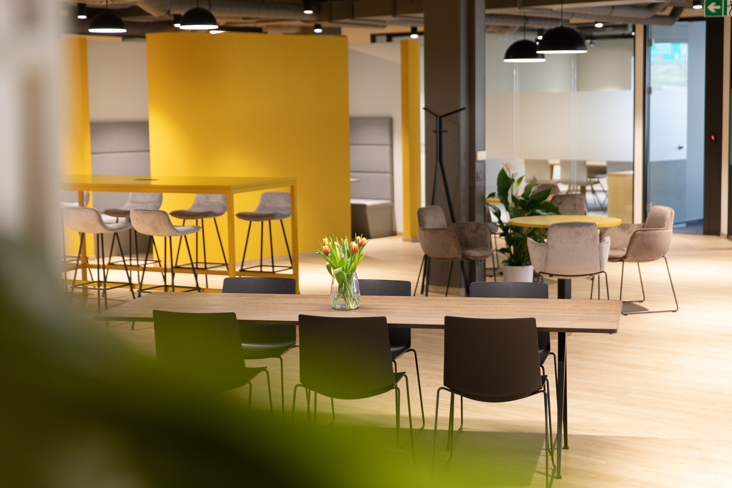 Monika Králová realitní makléřka foto 6